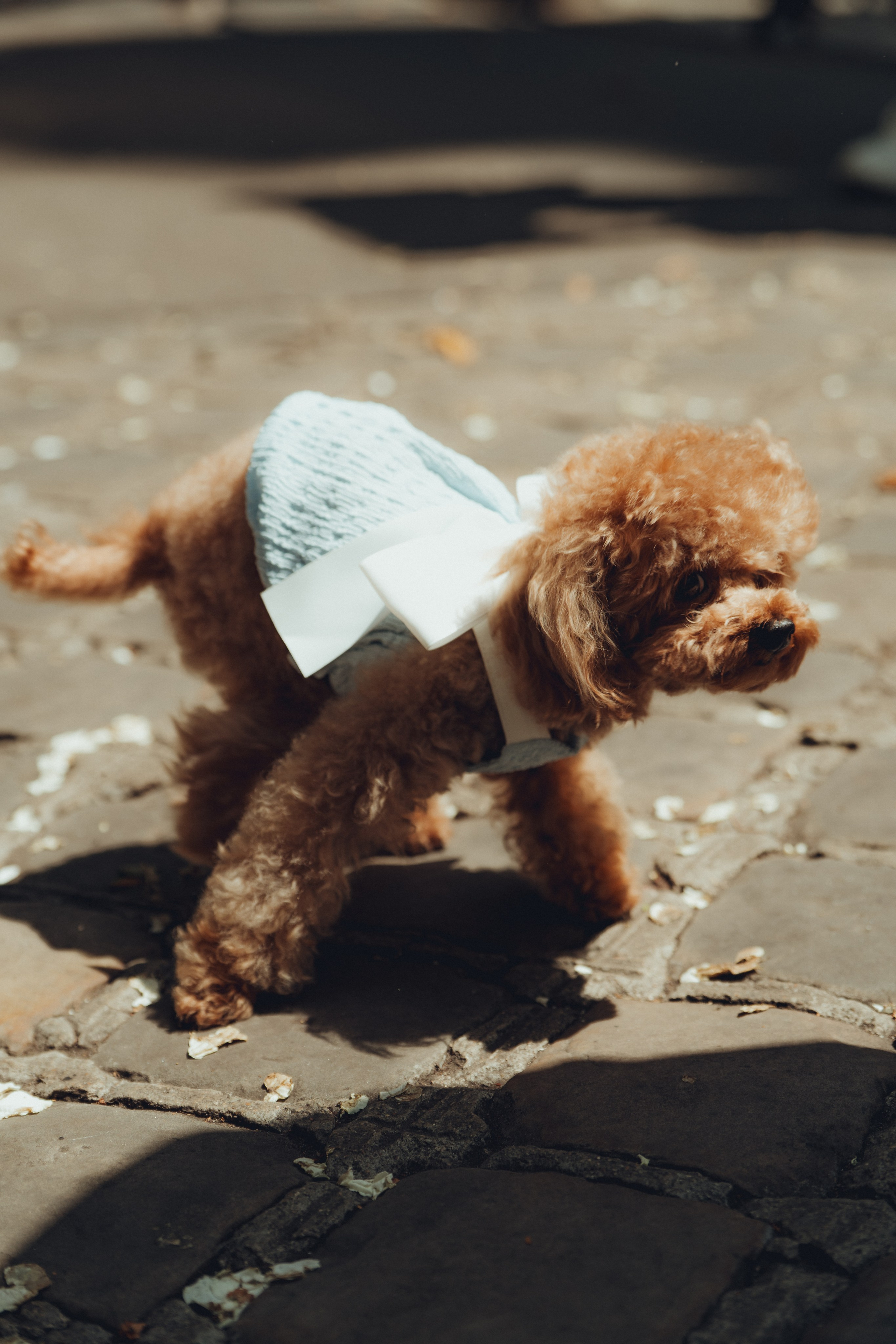 Свадьбы. Dani's eyes