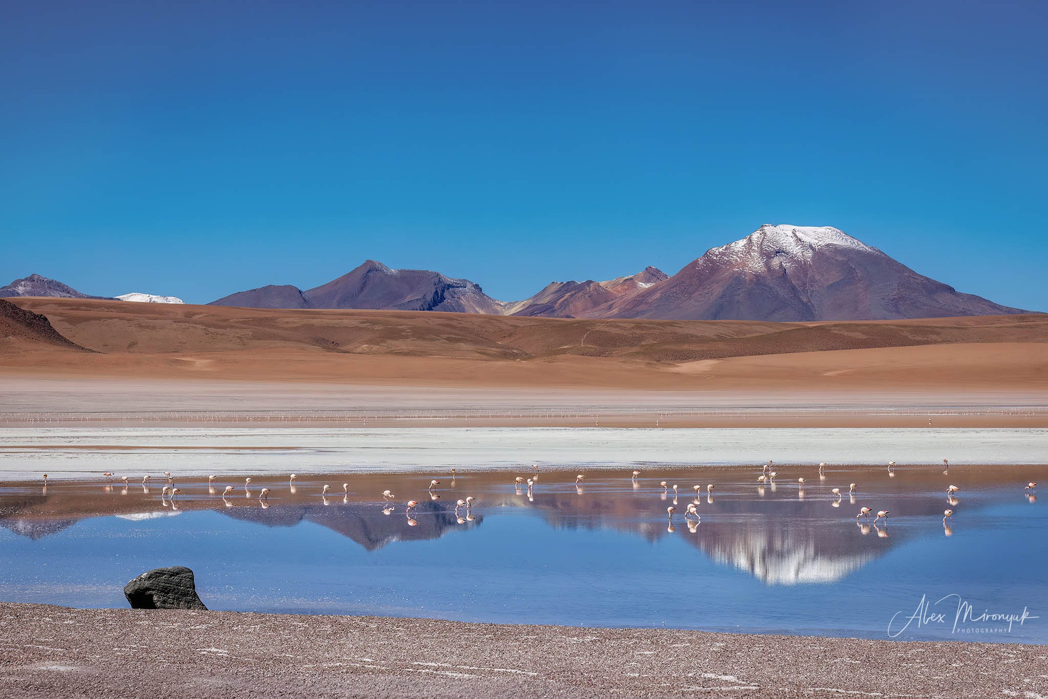Bolivia Adventure — 2025. Pet, Senior, Landscape, portrait studio, photographer in Miami and Sou