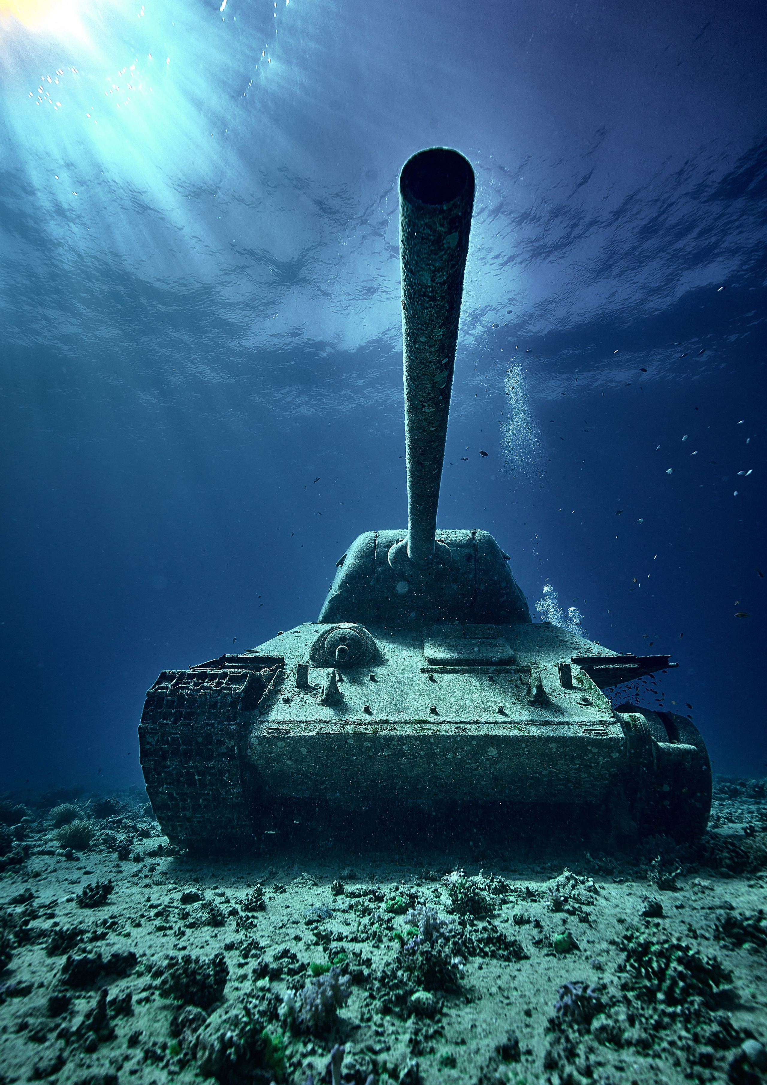 Podwodny fotograf - Andriej Szypiłow - zdjęcia wraków. Andriej Szypilow - Fotografia & Wideografia