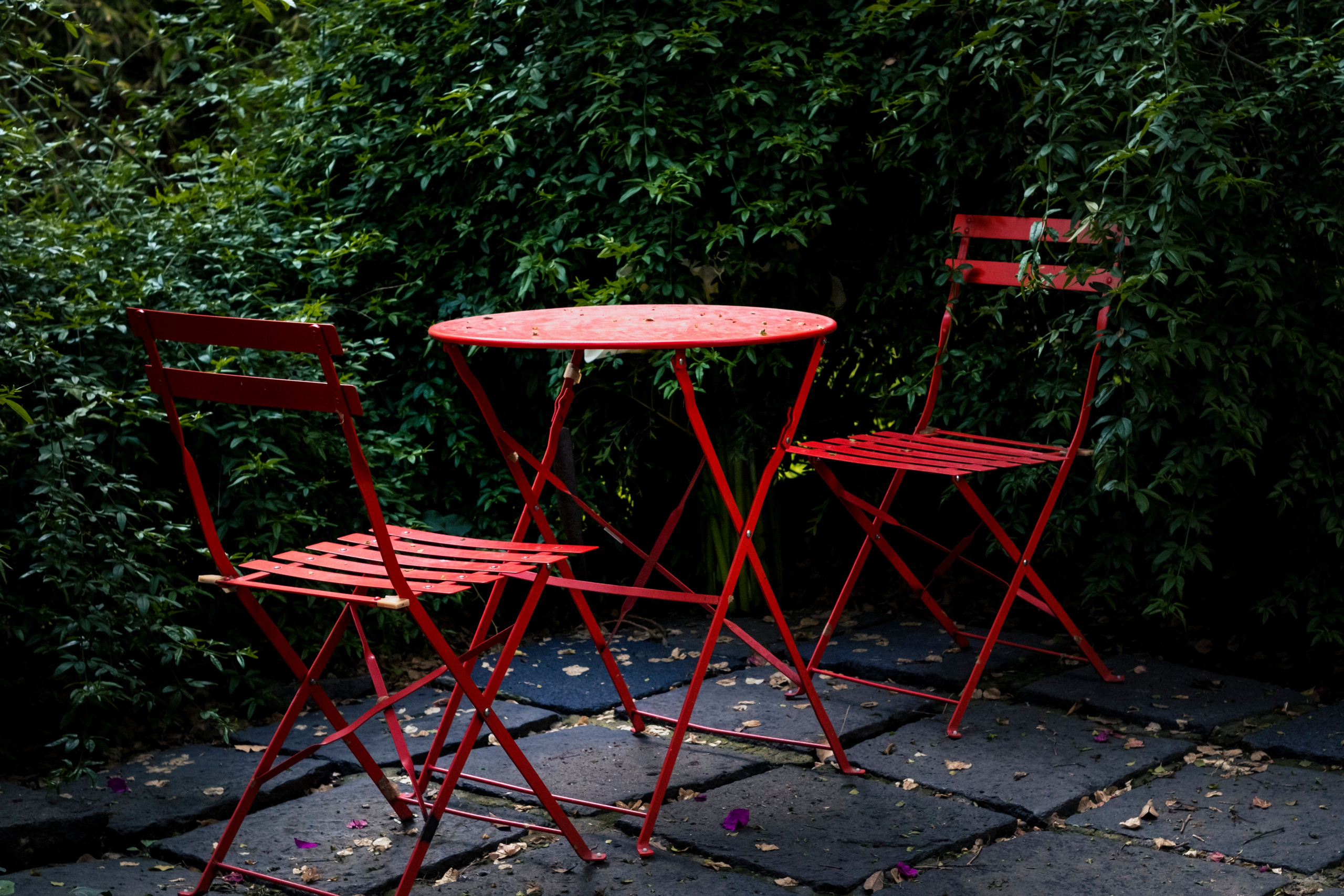 Brandon & Leah. Wedding and family photographer in Mexico City