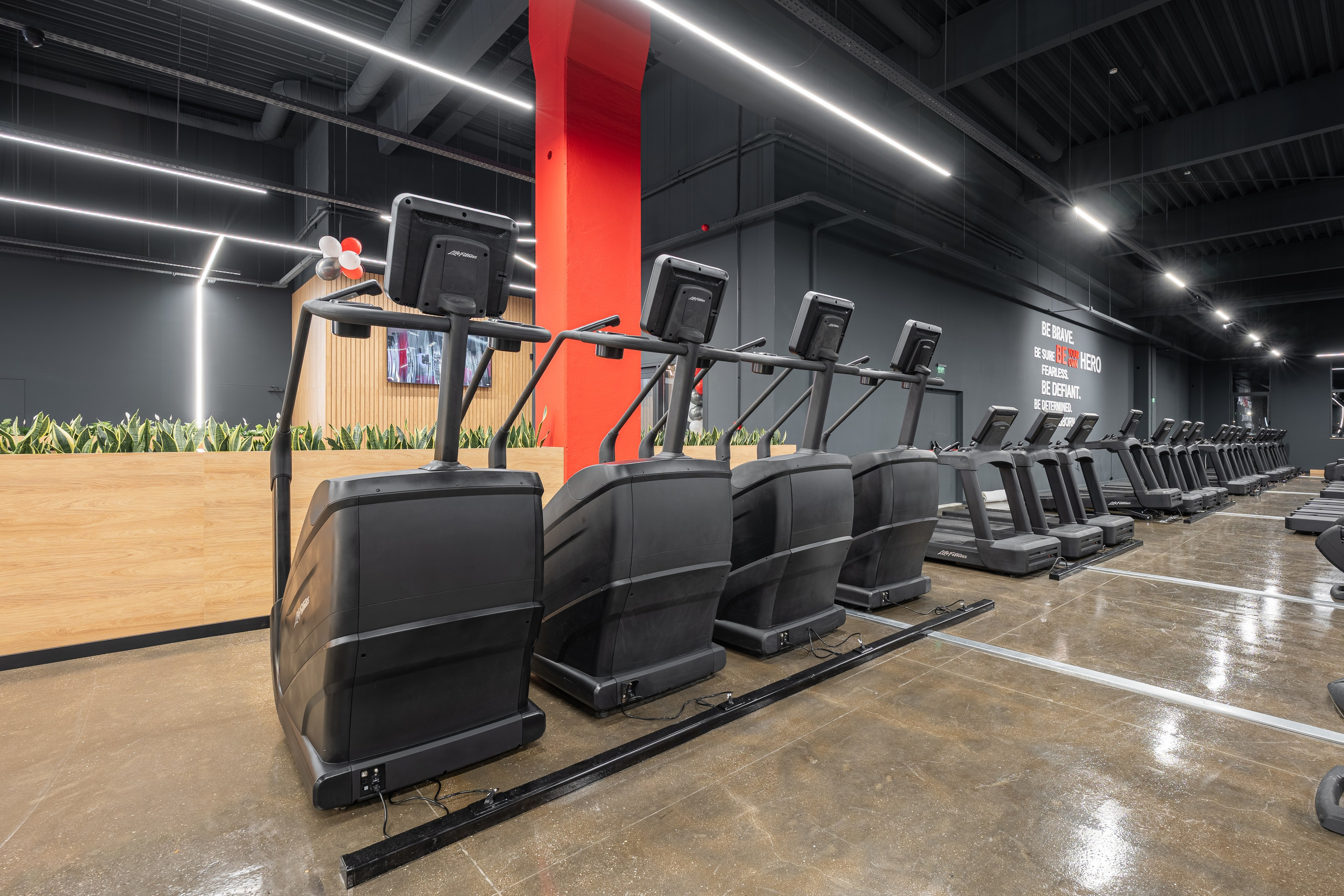 WEST GYM PARK MAXX. Професионален фотограф в Пловдив и областта