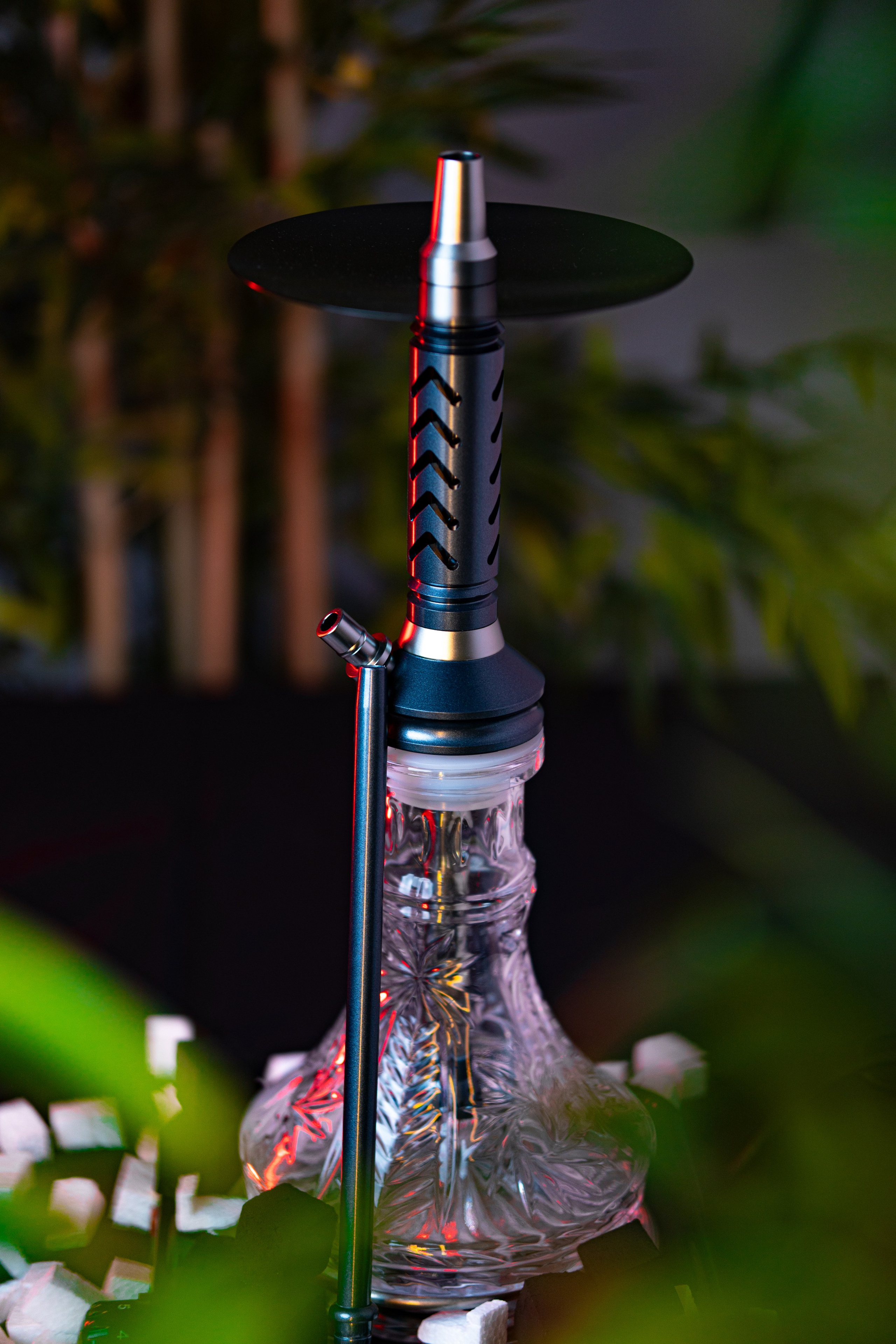 Cachimbas. Baby Beast