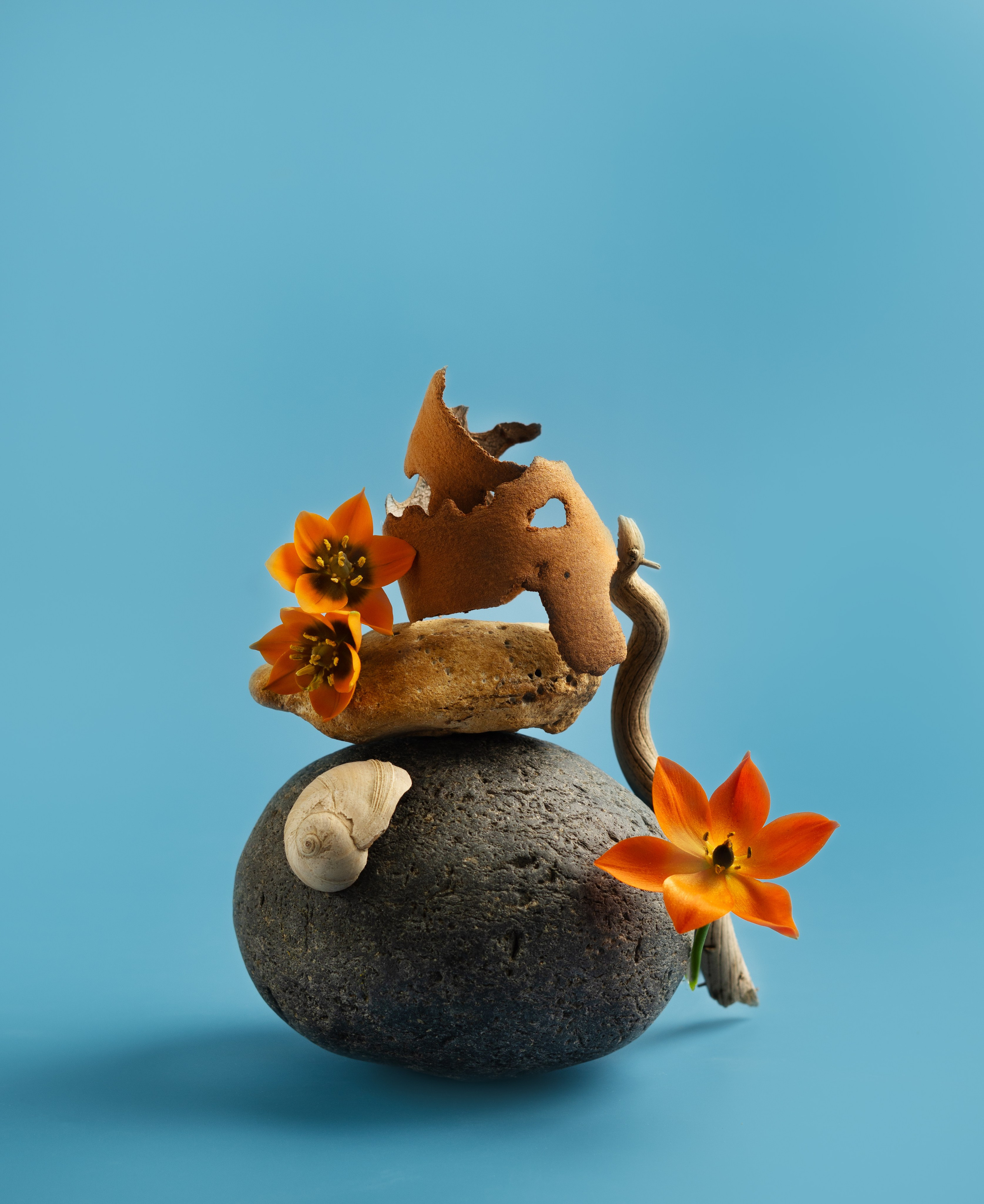 Skincare & Cosmetics Product Photography – USA. LILIIA ZABOTKINA food photographer California