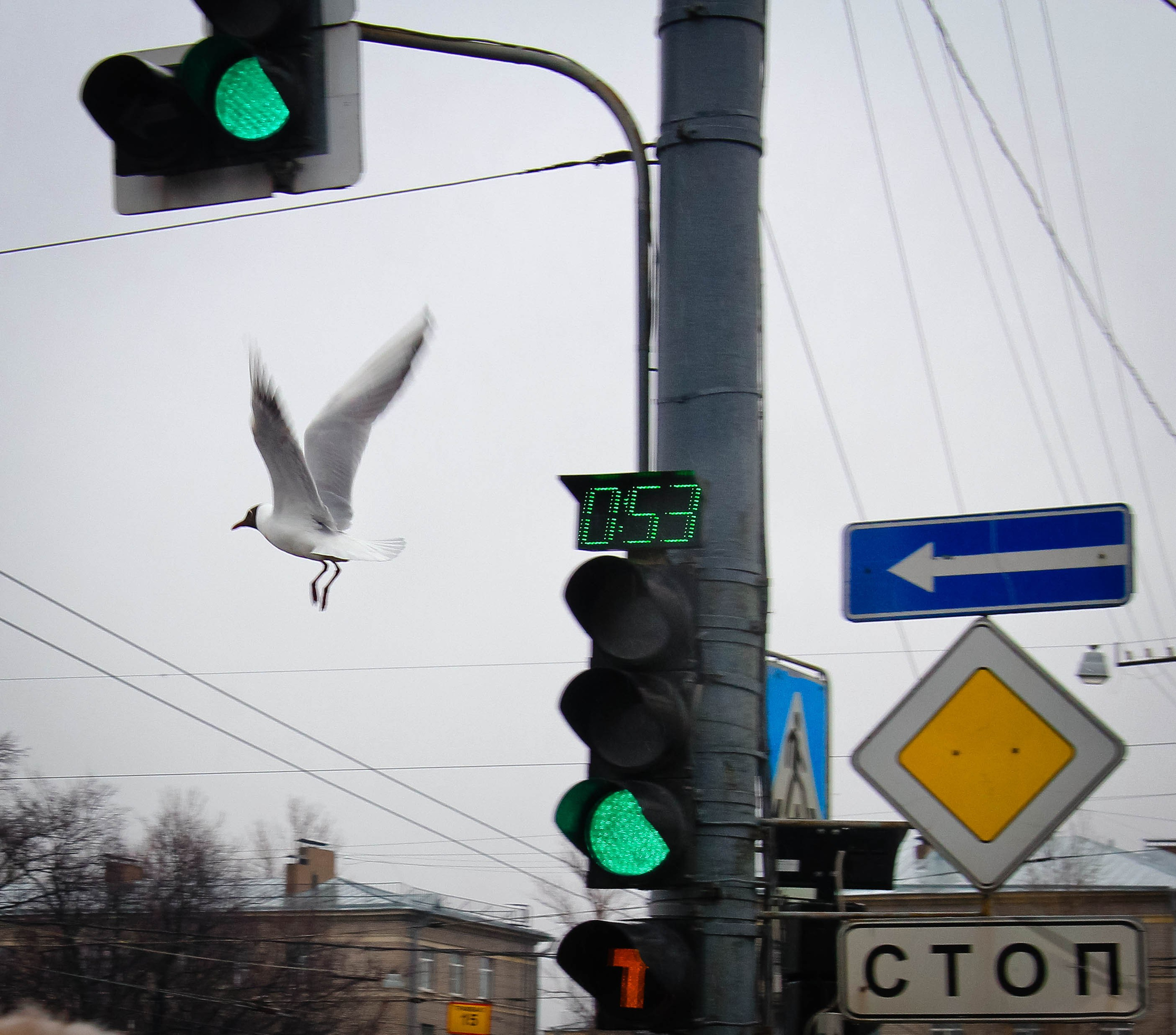 2012. Стрит-фотография, полная абсурда, идиотизма и красоты