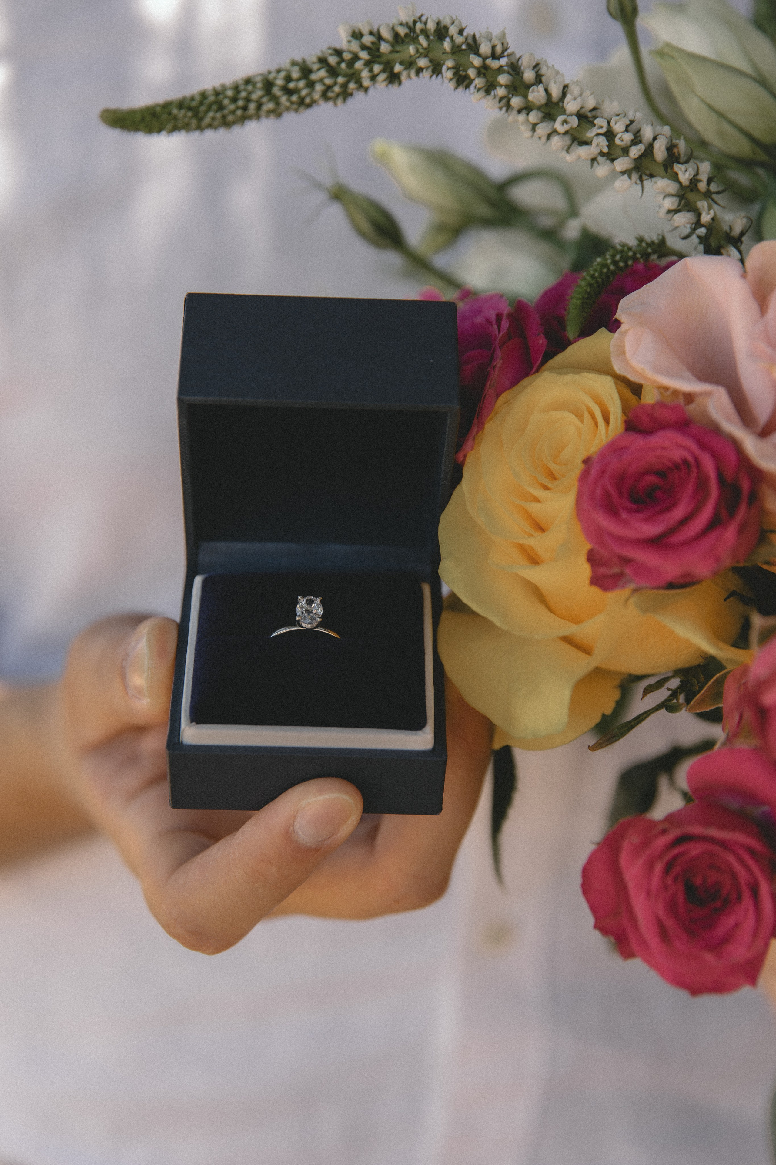 Brian & Erika. Wedding proposal. Fotógrafa familiar Santiago y Chile Anna Almazova