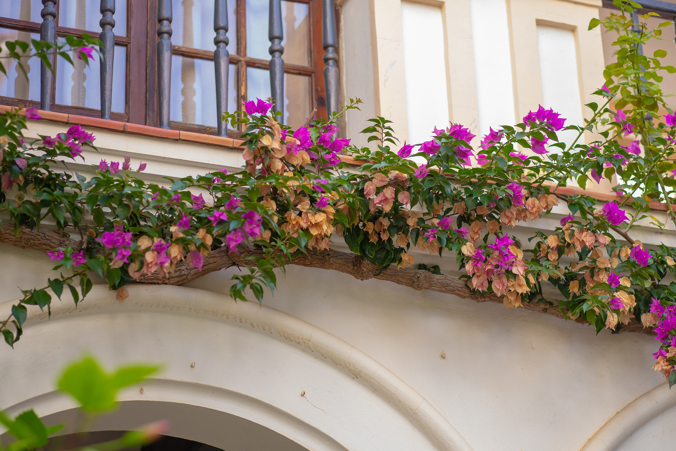 Tatiyana. Фотограв в Испании Таррагоне