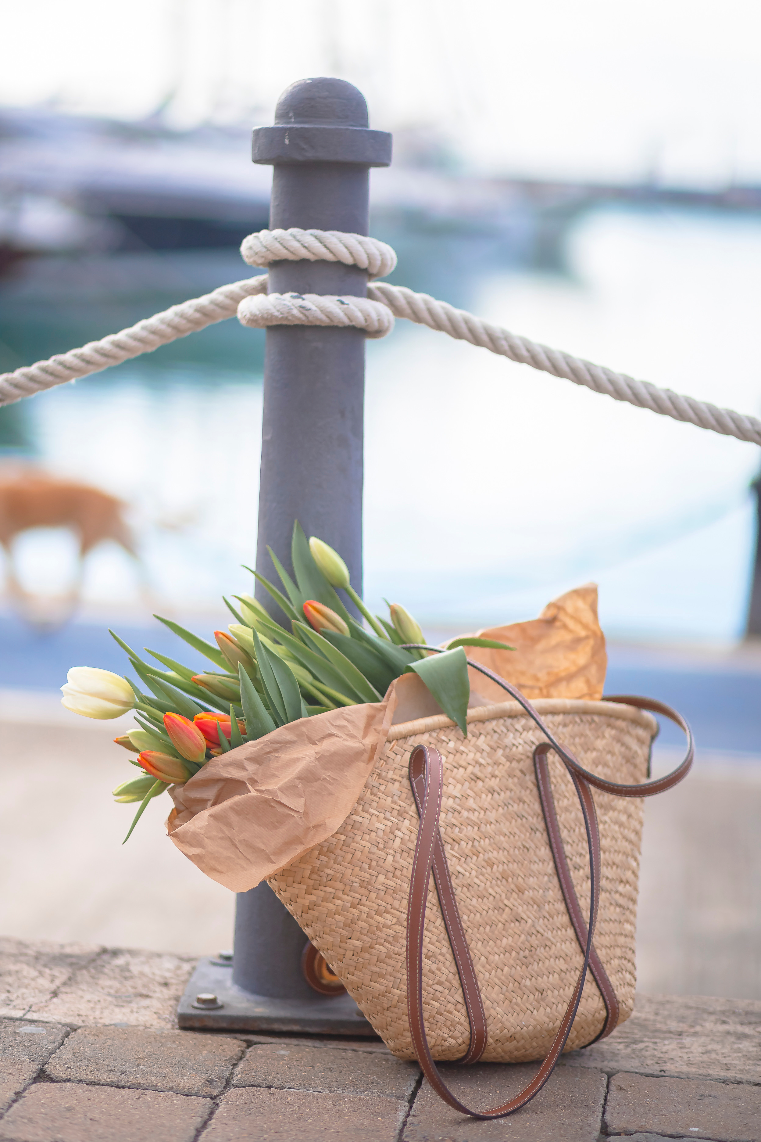 Фотограв в Испании Таррагоне