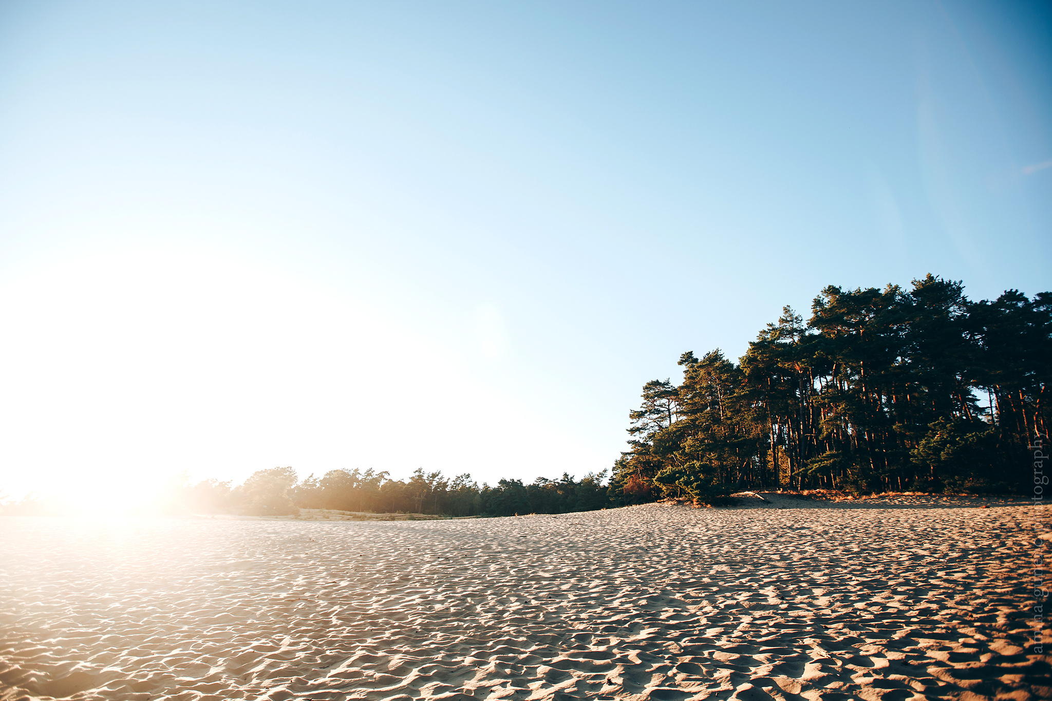 My family album. Amina Gunenc - bruiloft- en familie fotograaf in Nederland