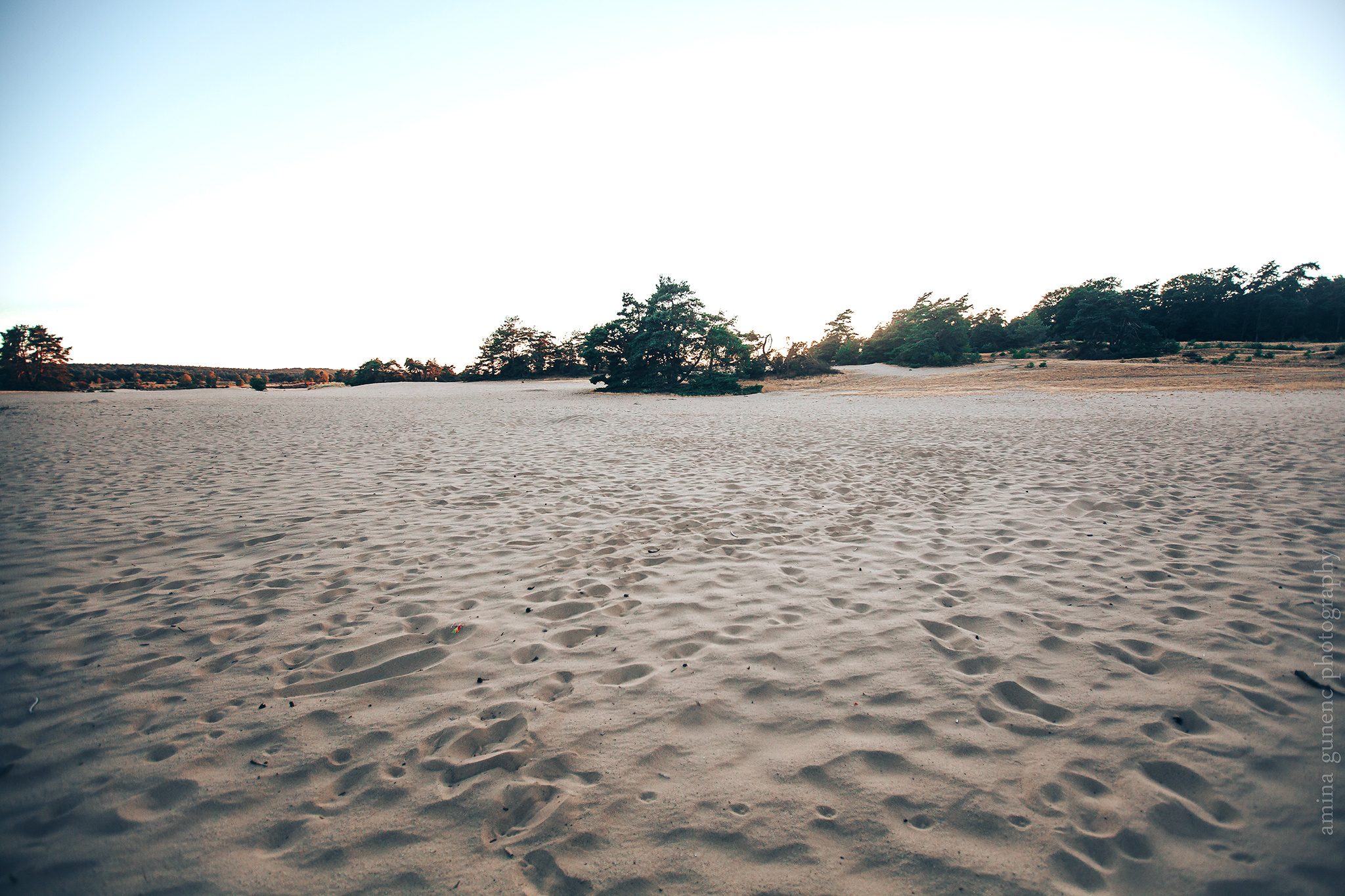 My family album. Amina Gunenc - bruiloft- en familie fotograaf in Nederland