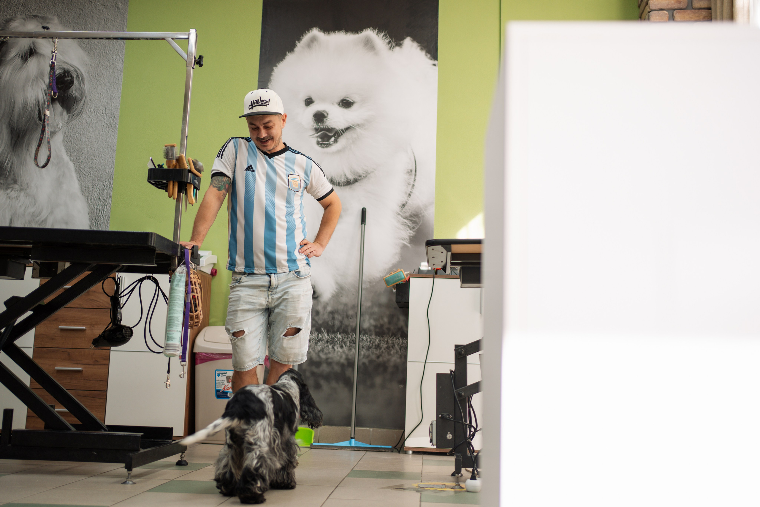 PetGroom Timisoara. Cozac Cristian Photographer