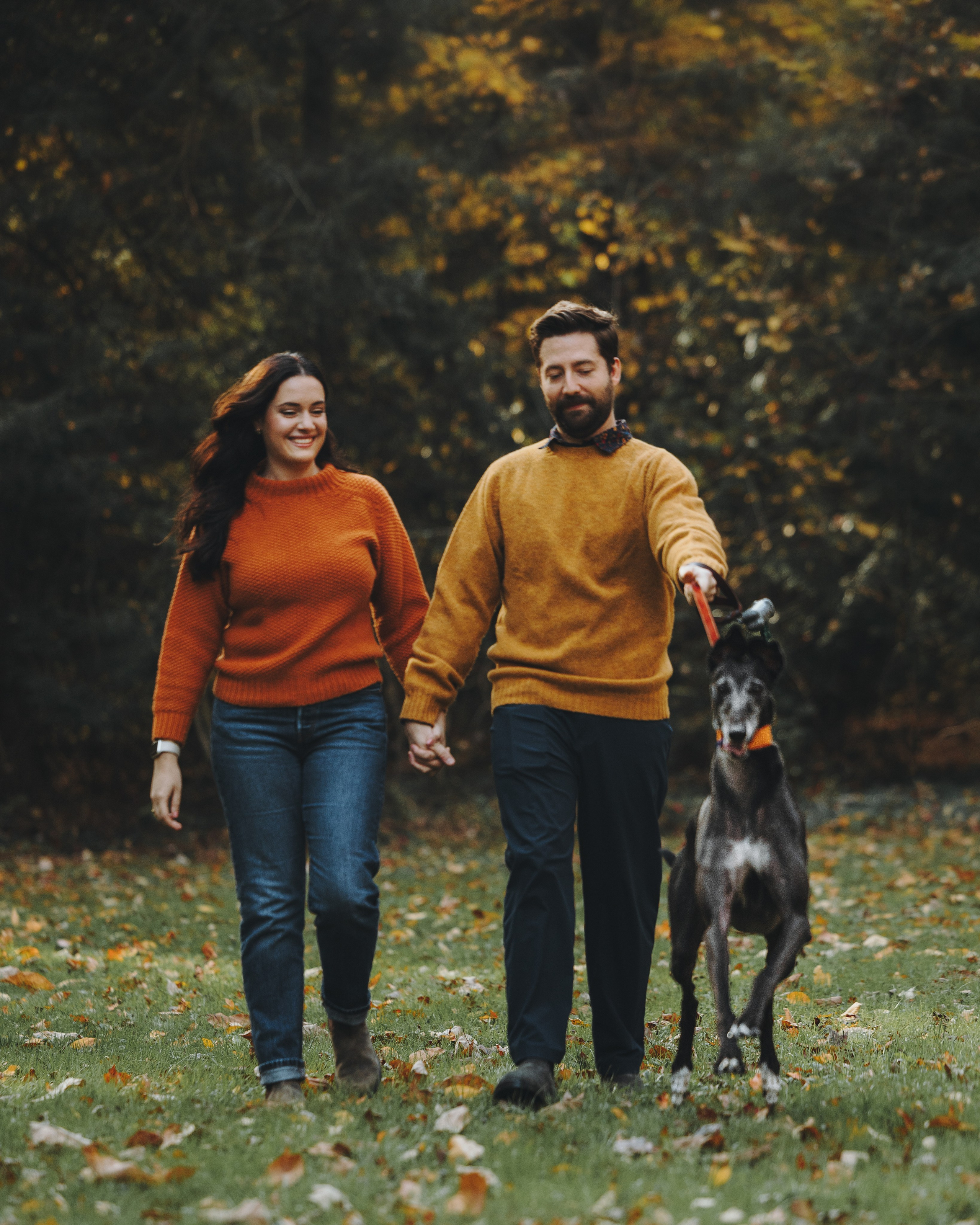 Tilly, Kati & Landon. Pet Photographer Viktoriya Aleshenko