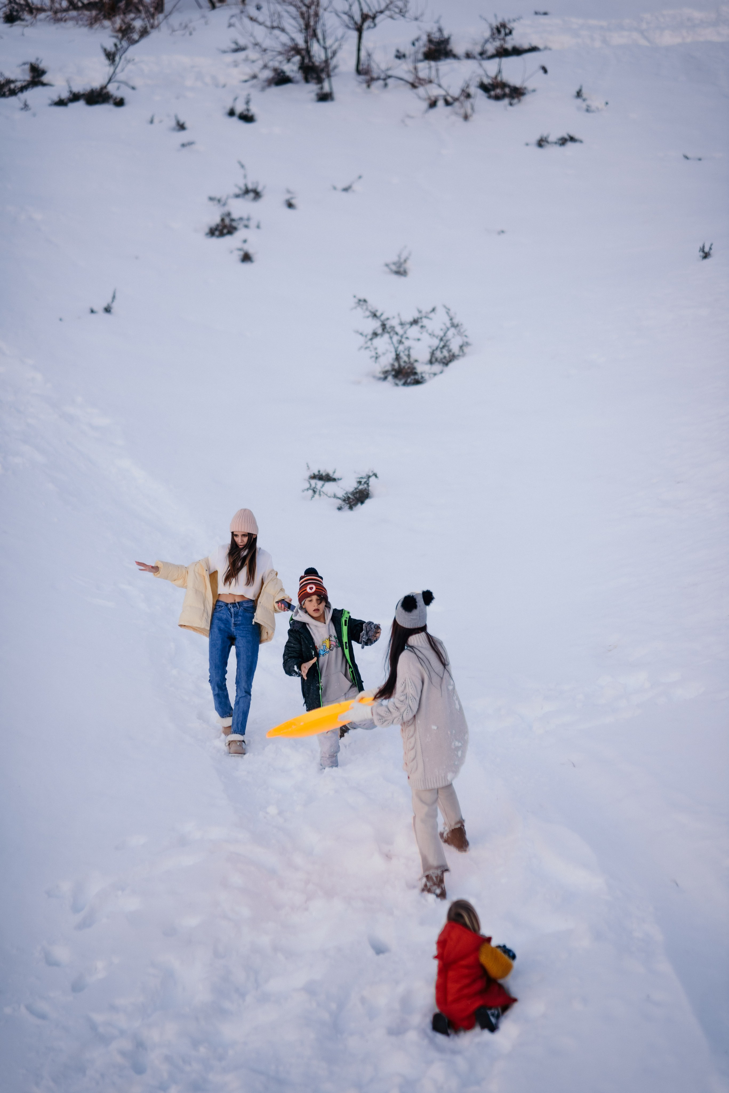 Family photo shoot. Photographer. Wedding, maternity and family photographer in Charlotte Tasha Minn
