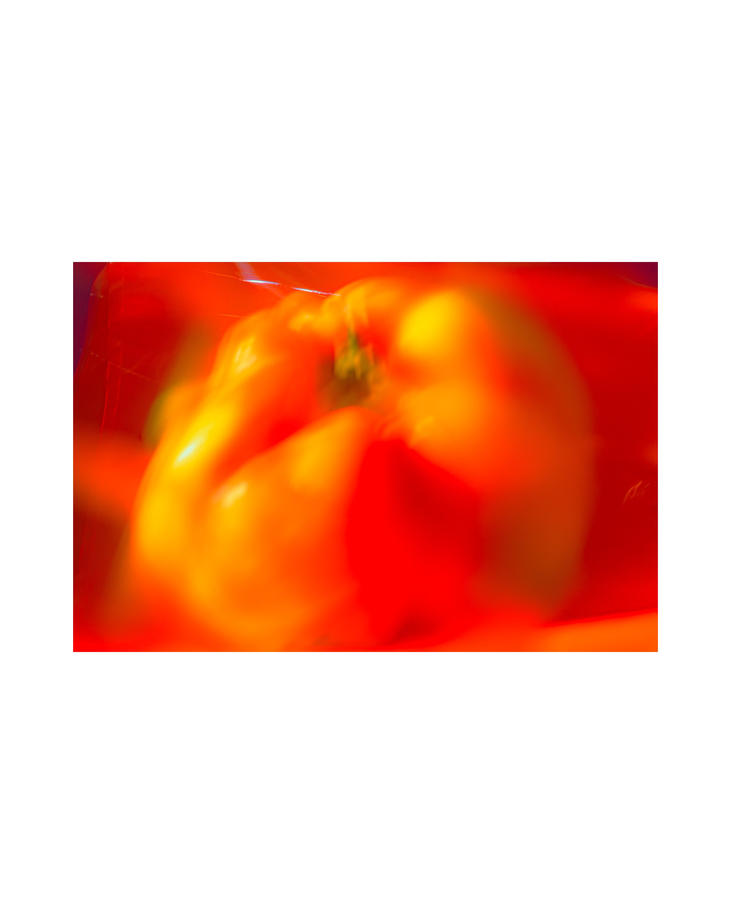 Vegetables from refrigerator. Ekaterina Tsurkina-Appina Photography Canada