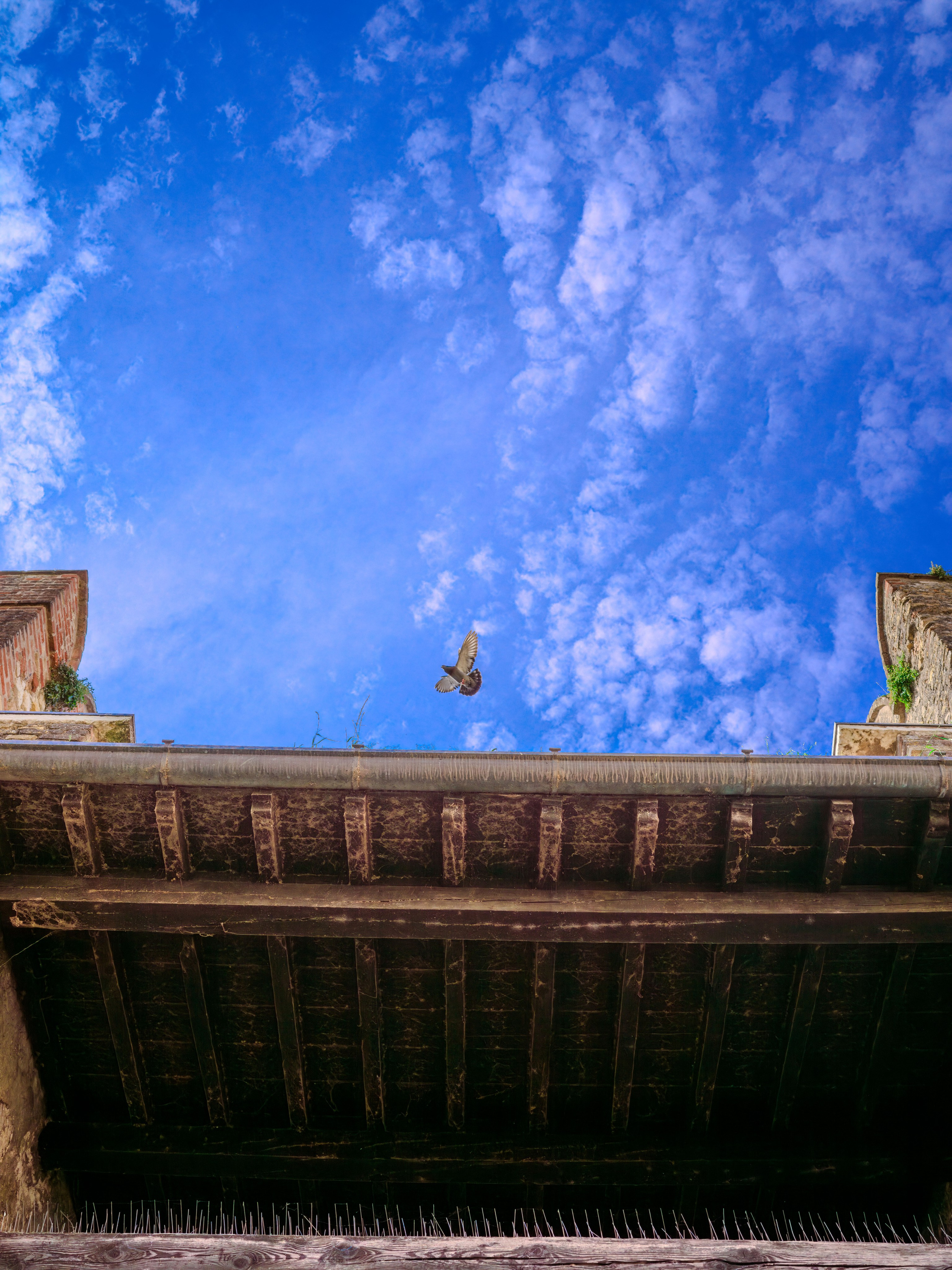 Уличная фотография в Италии | Street photo Milano, Verona, Como. Ale Kor — Фотограф в Италии | озеро Комо, озеро Гарда, Верона, Доломиты