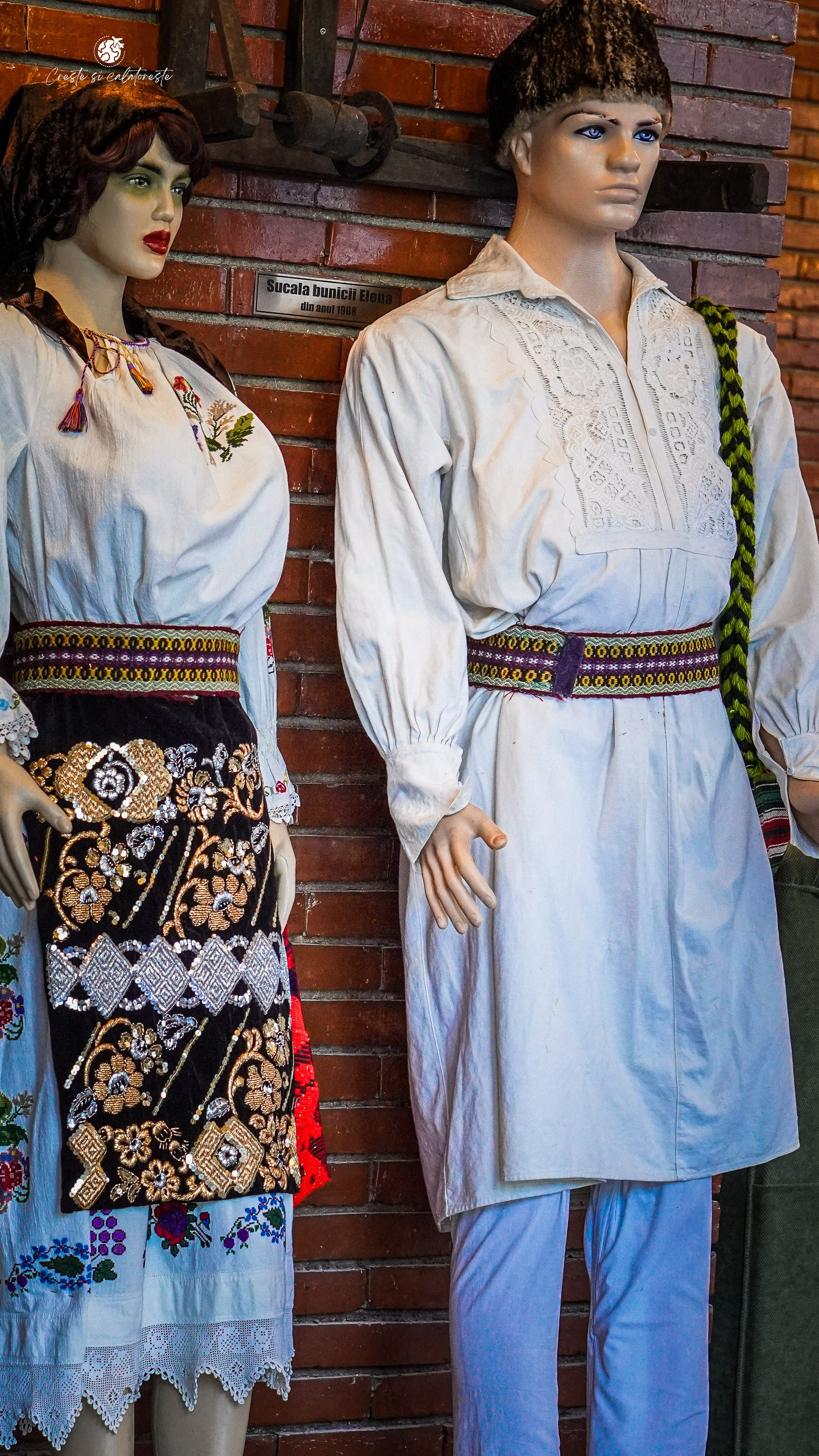 Bacolux Diana. Creste si calatoreste