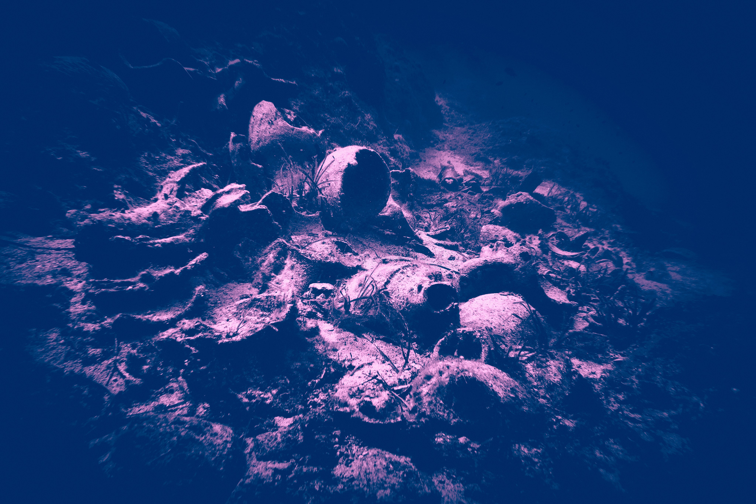 Fotograf podwodny Andriej Szypiłow. Андрей Шипилов — Фотография & Видеография