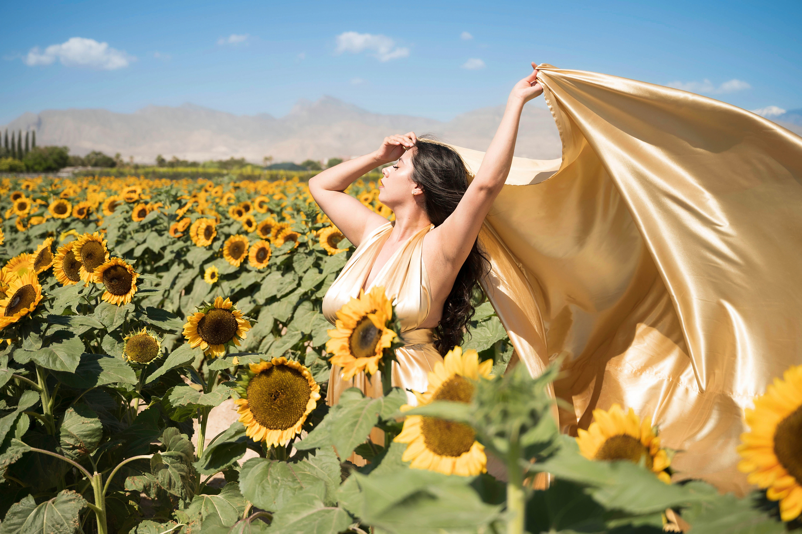 Arlin. Creative photographer in Las Vegas