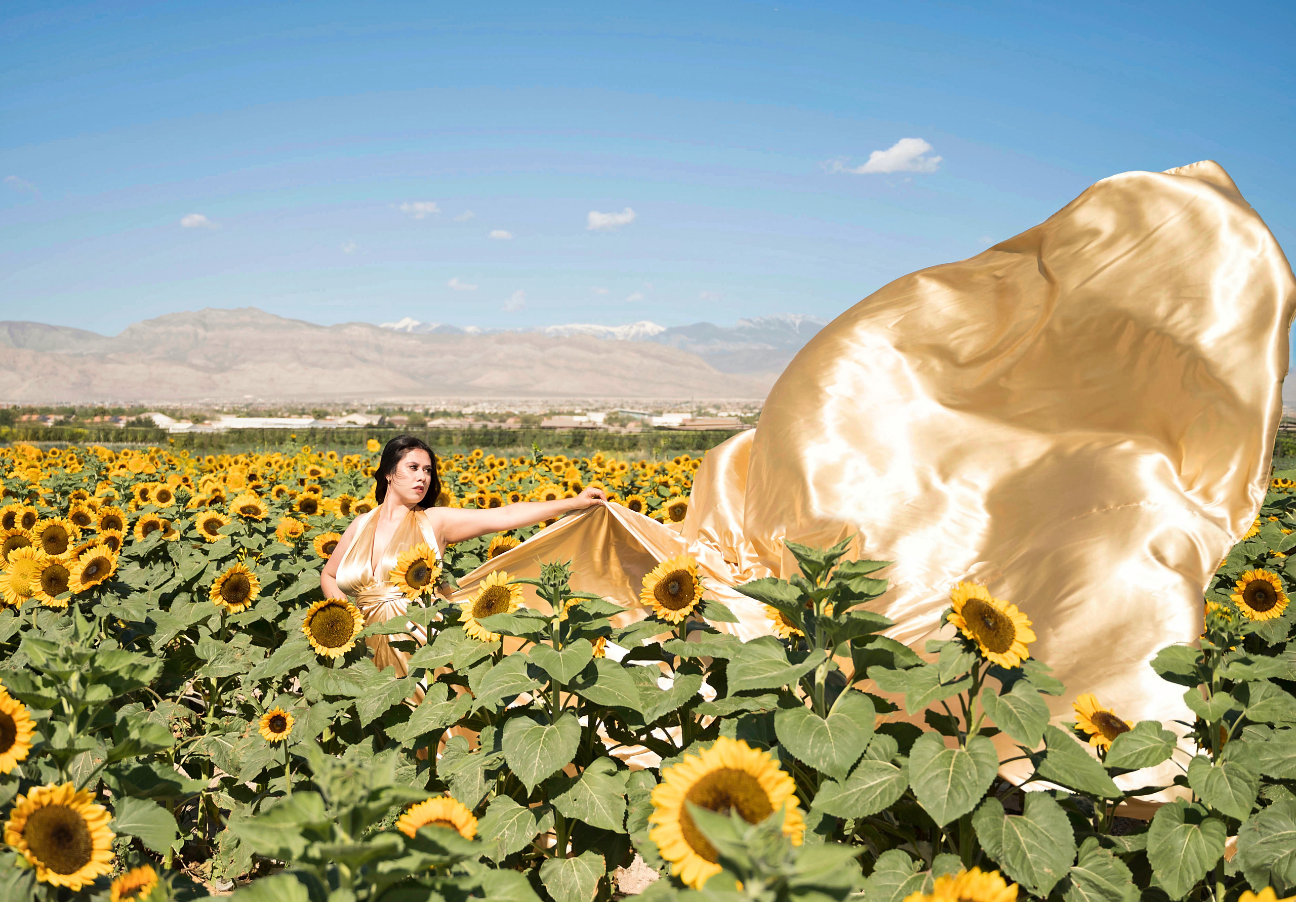 Arlin. Creative photographer in Las Vegas