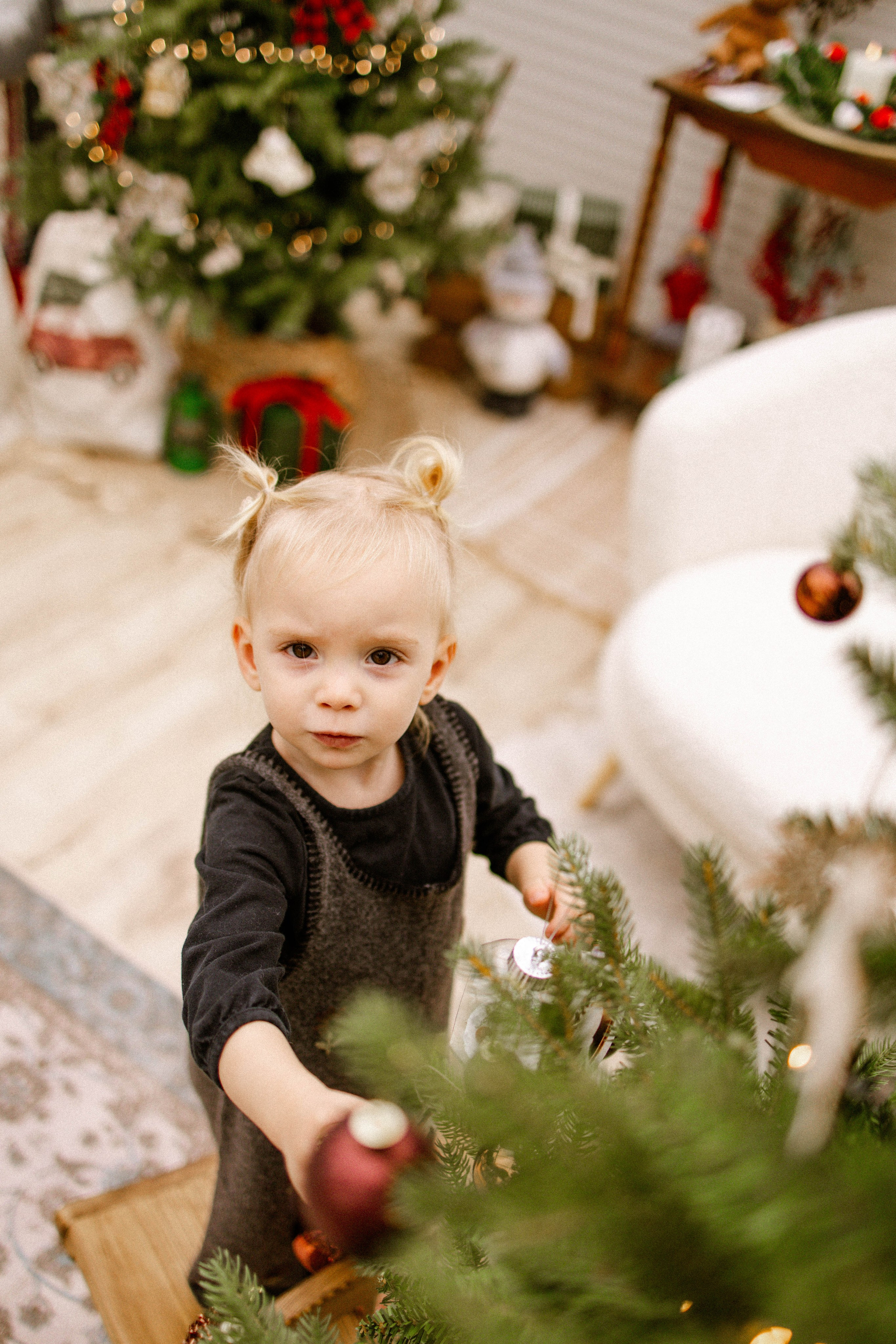 New Years Photography. Family and Wedding Photographer