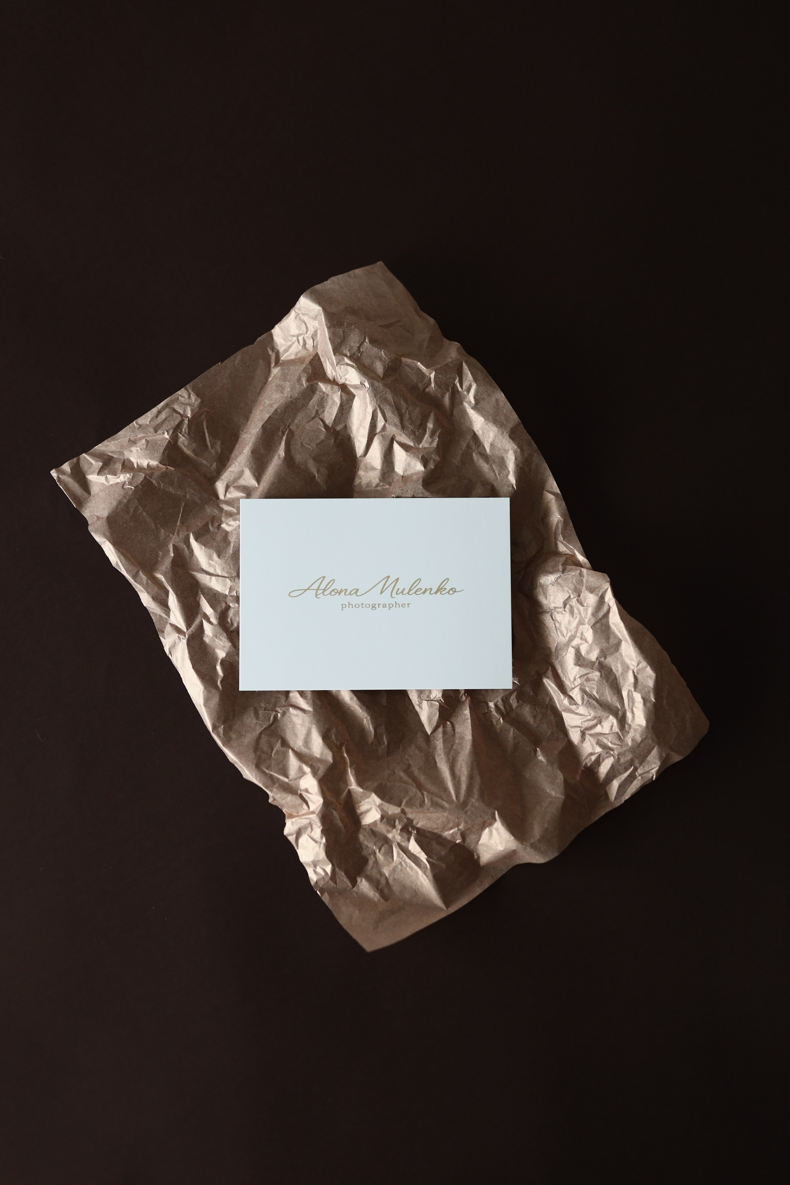 Voucher. Alona Mulenko