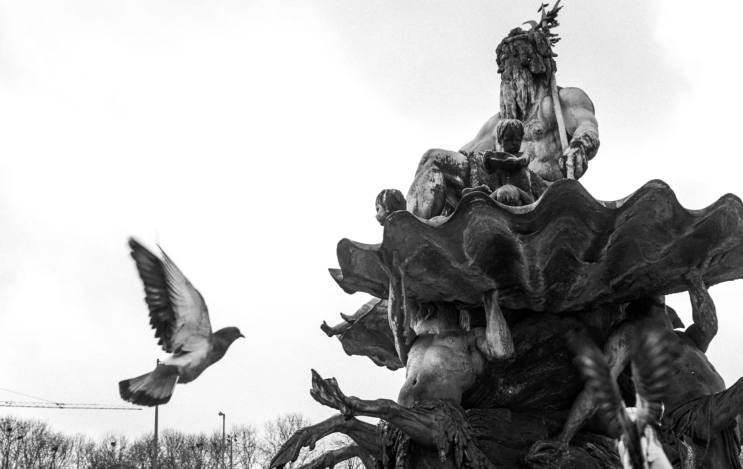 Пернатый психоз. Стрит-фотография, полная абсурда, идиотизма и красоты