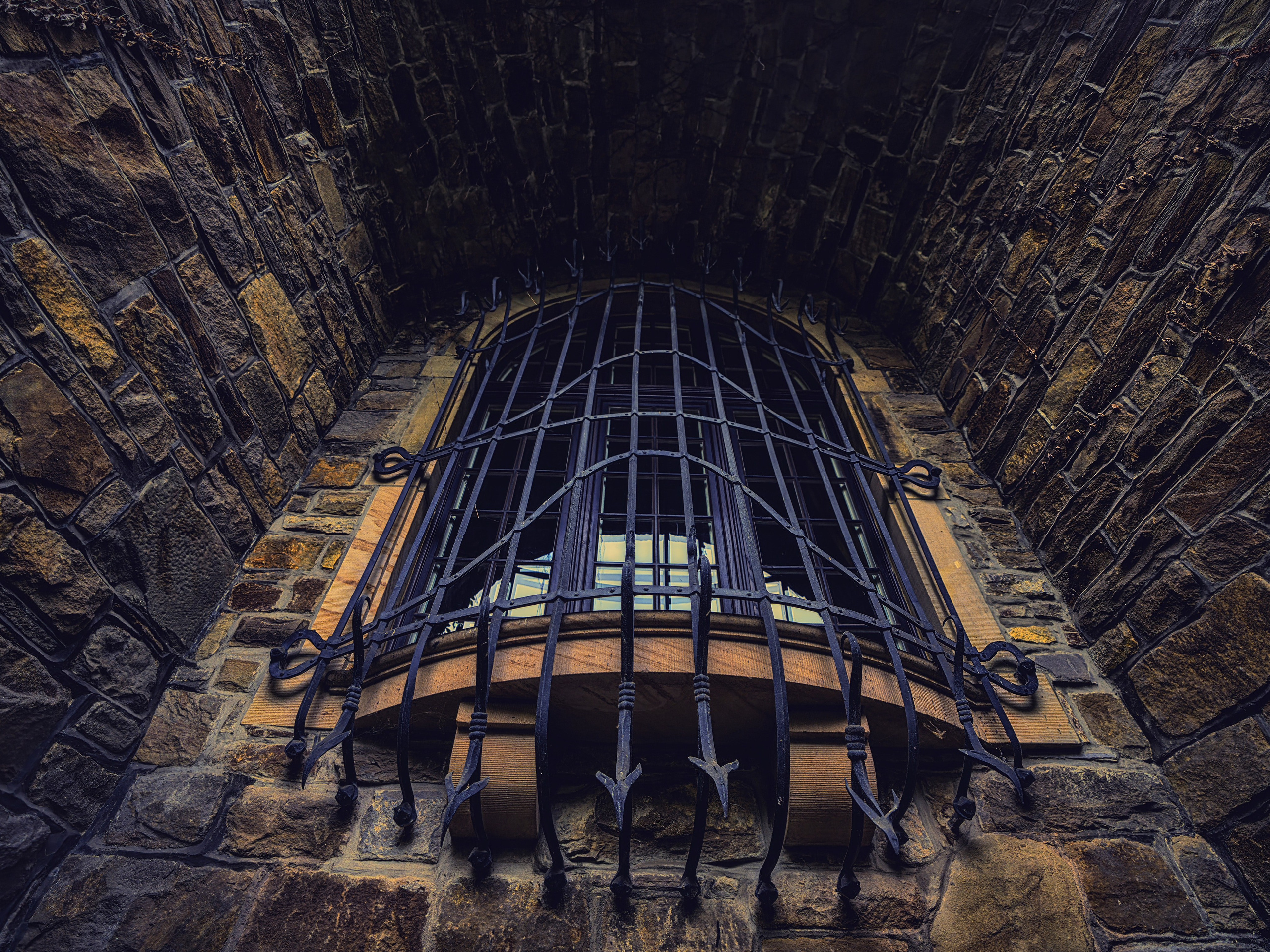 КОРИЧНЕВЫЙ ЦВЕТ. LUKIN IGOR Photography