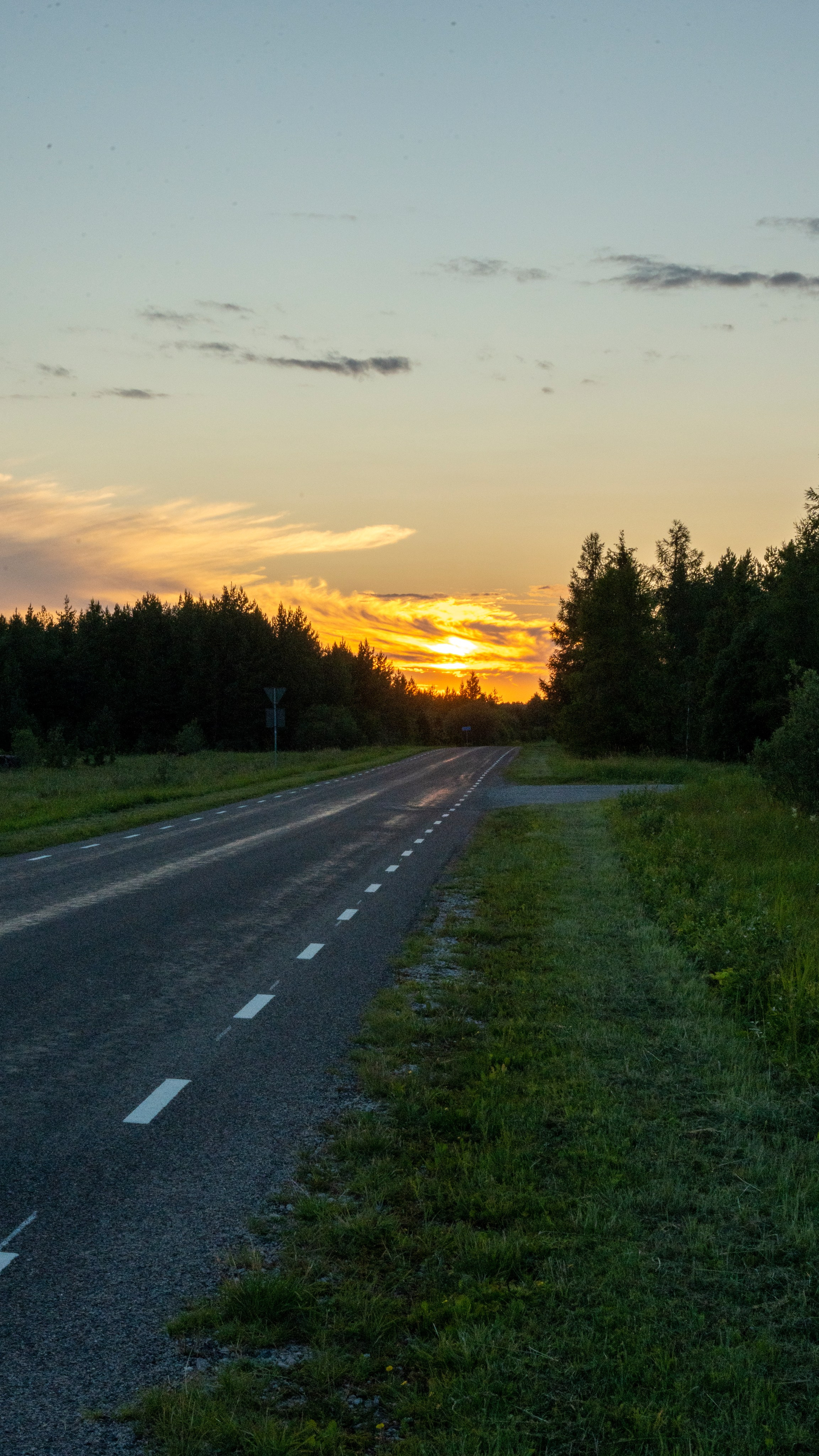 Whispers of Estonia. Photography | Videography | Marketing