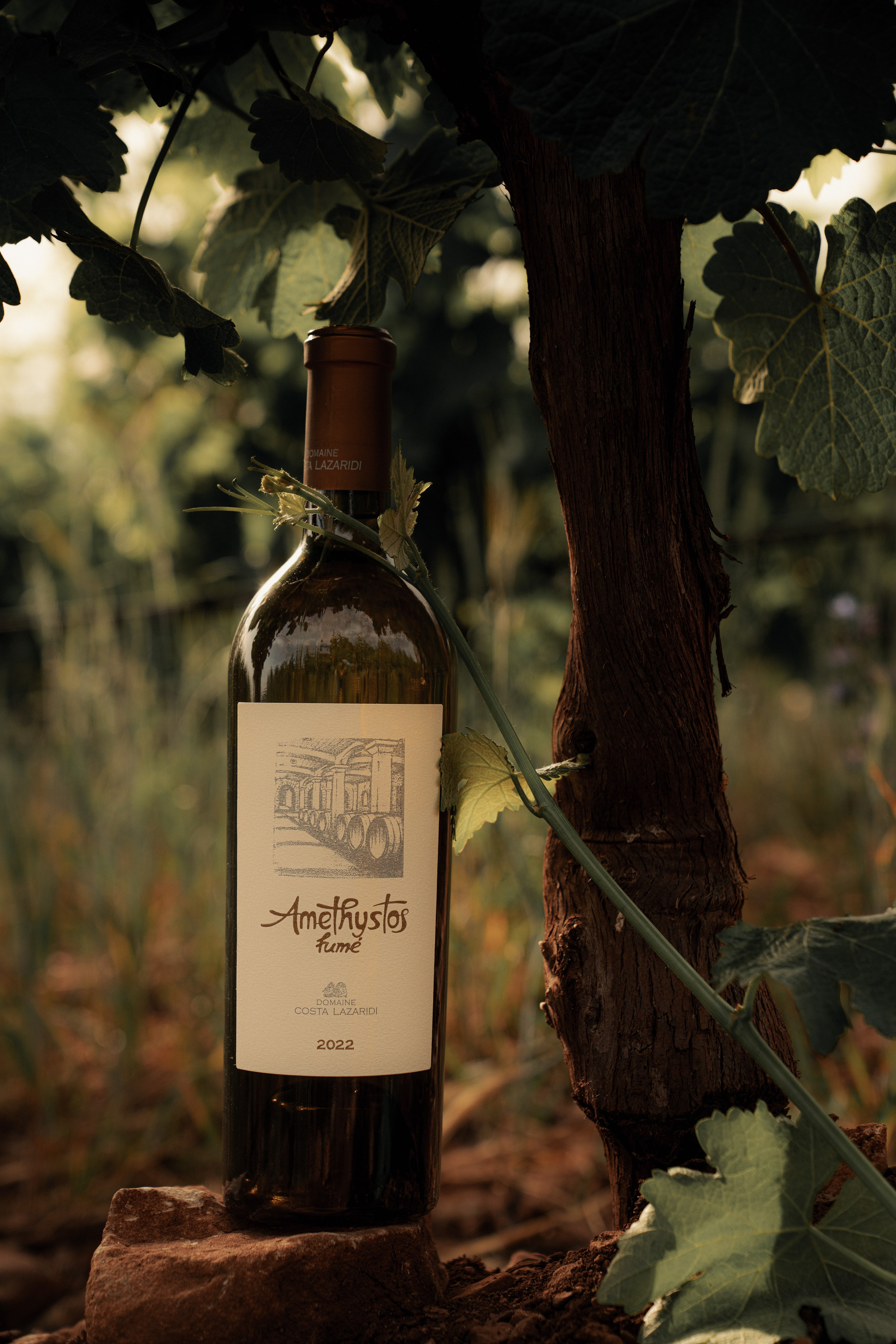 Estates Costa Lazaridi