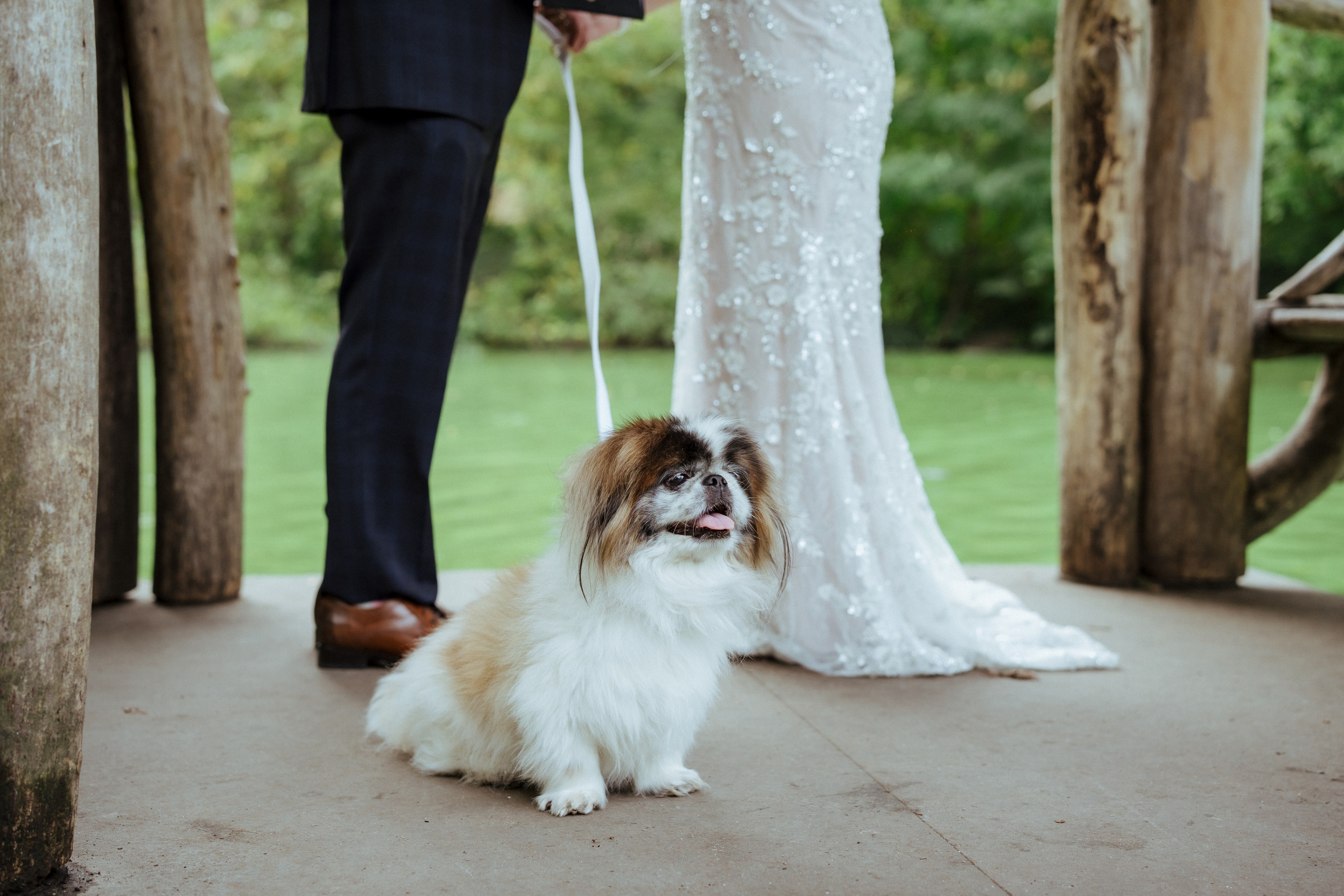 WEDDINGS/ELOPEMENTS. Ljova She Photography | This website is dedicated to wedding, couple, and proposal photography