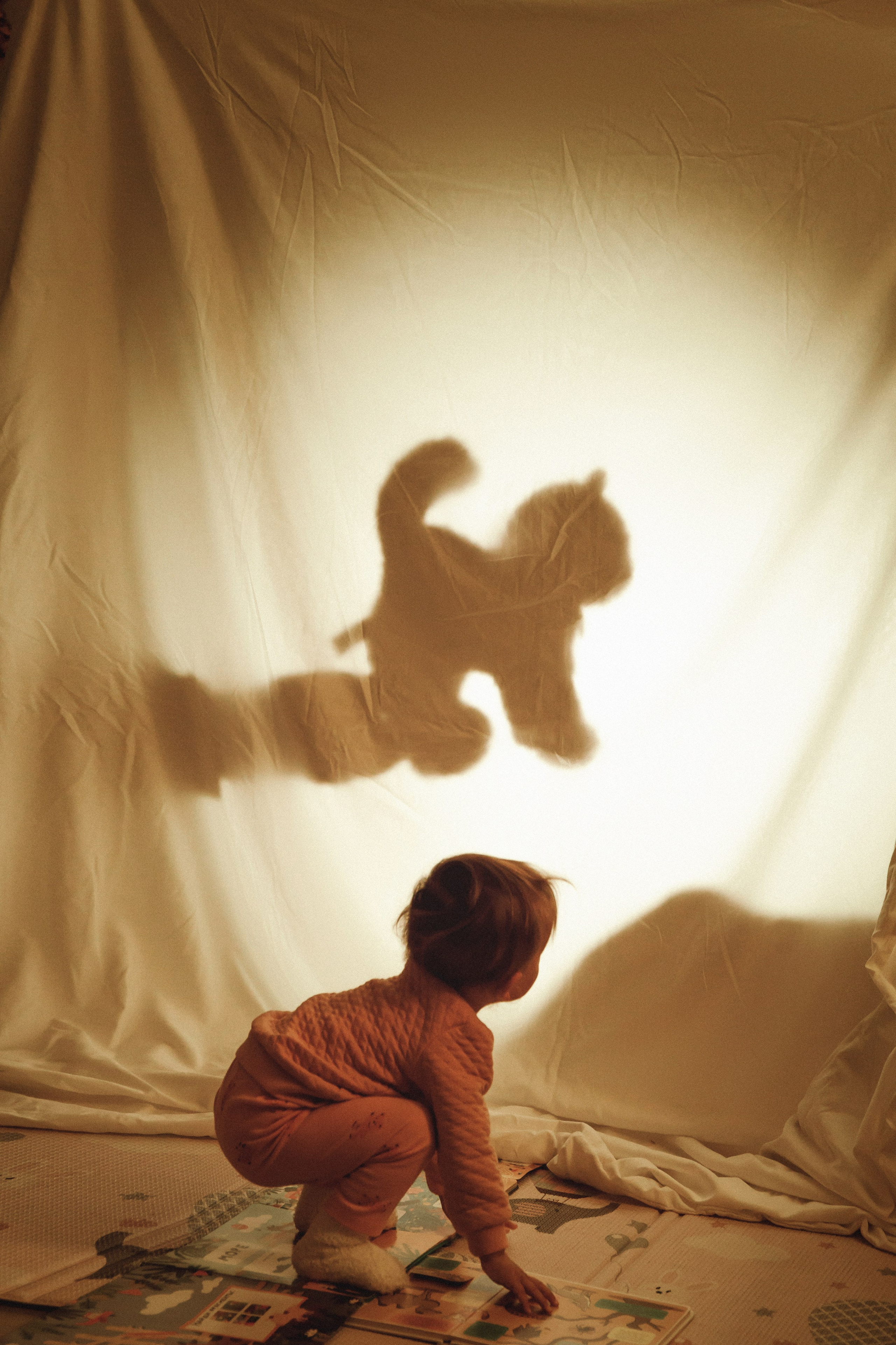 Family history. Семейный детский фотограф Бляхер Ирина в Израиле