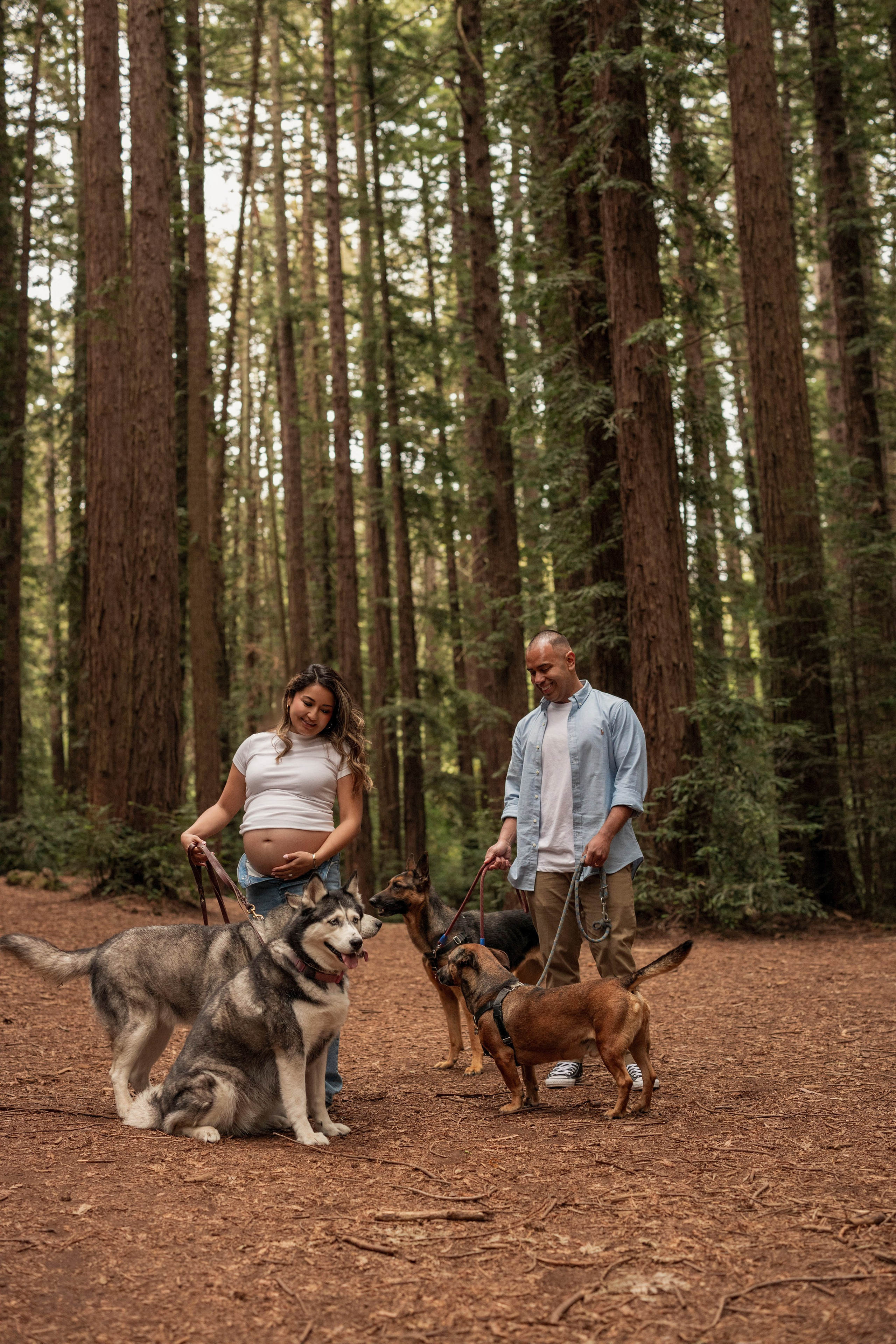 Wood. Bay Area Photographer: family, maternity, love story, wedding