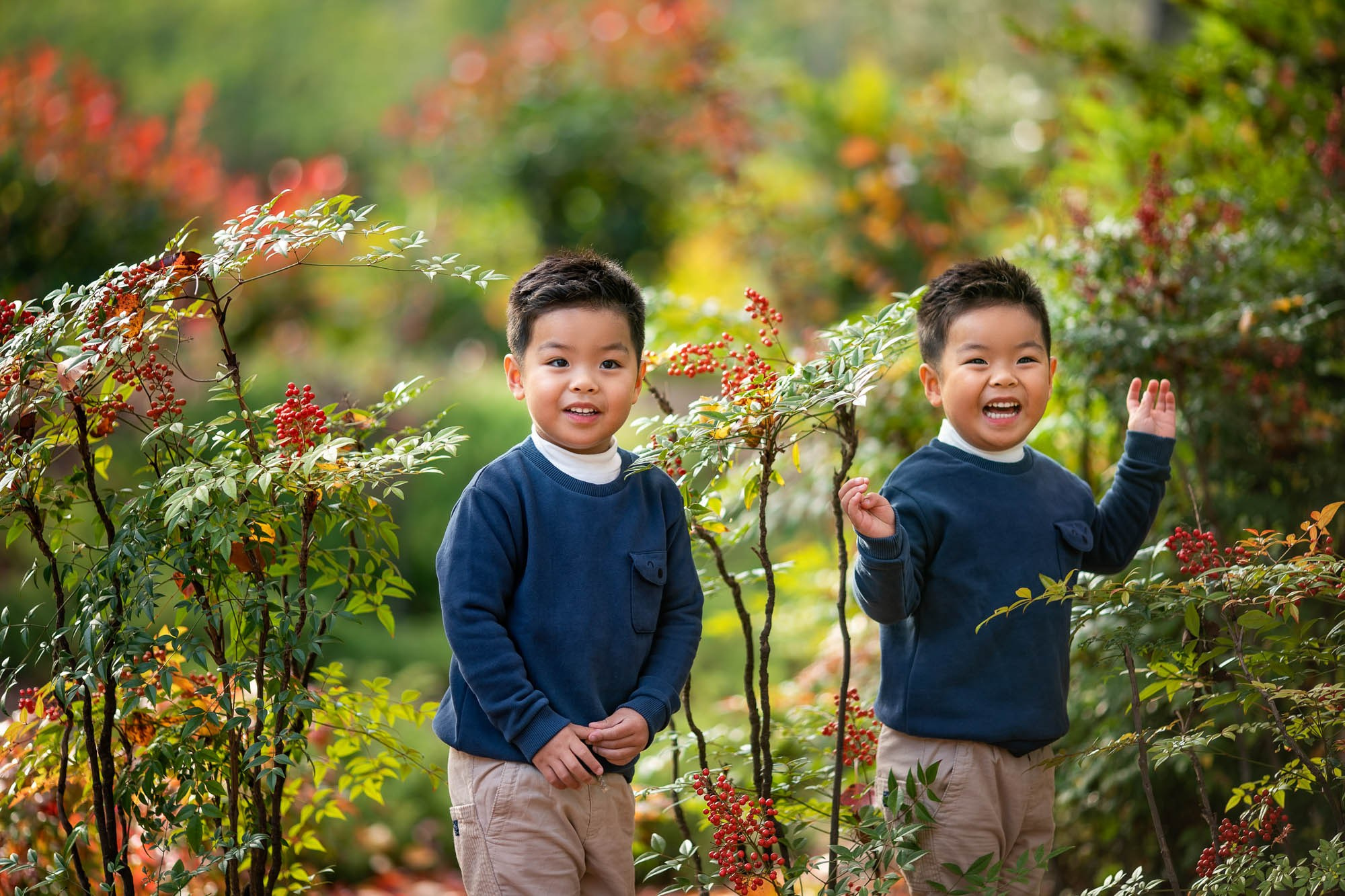 Autumn Family Photography in Sydney. Family and Maternity Photography in Sydney, Hills District