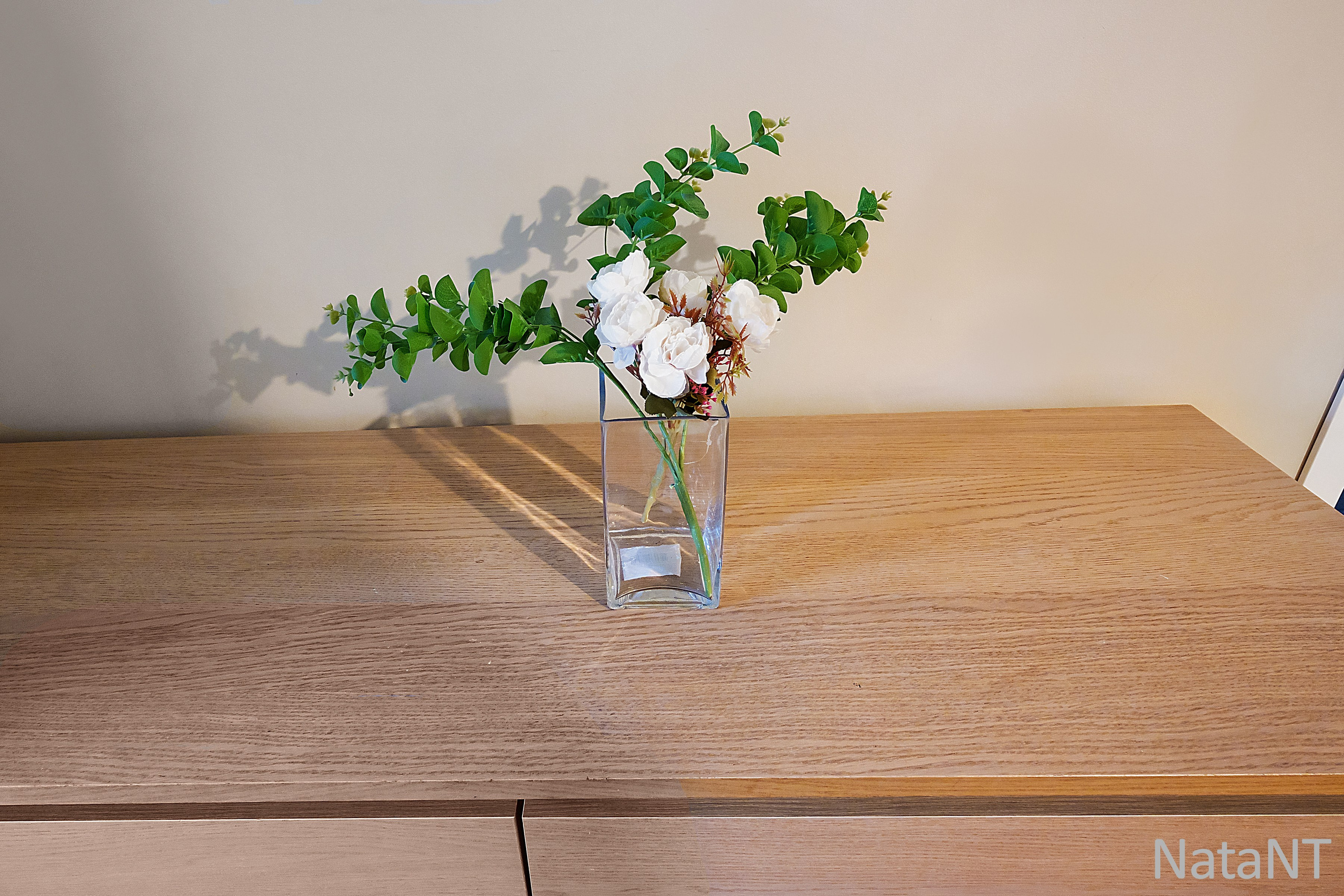 Žirmunų g. 113. Elina Sapiega fotografė Vilniuje