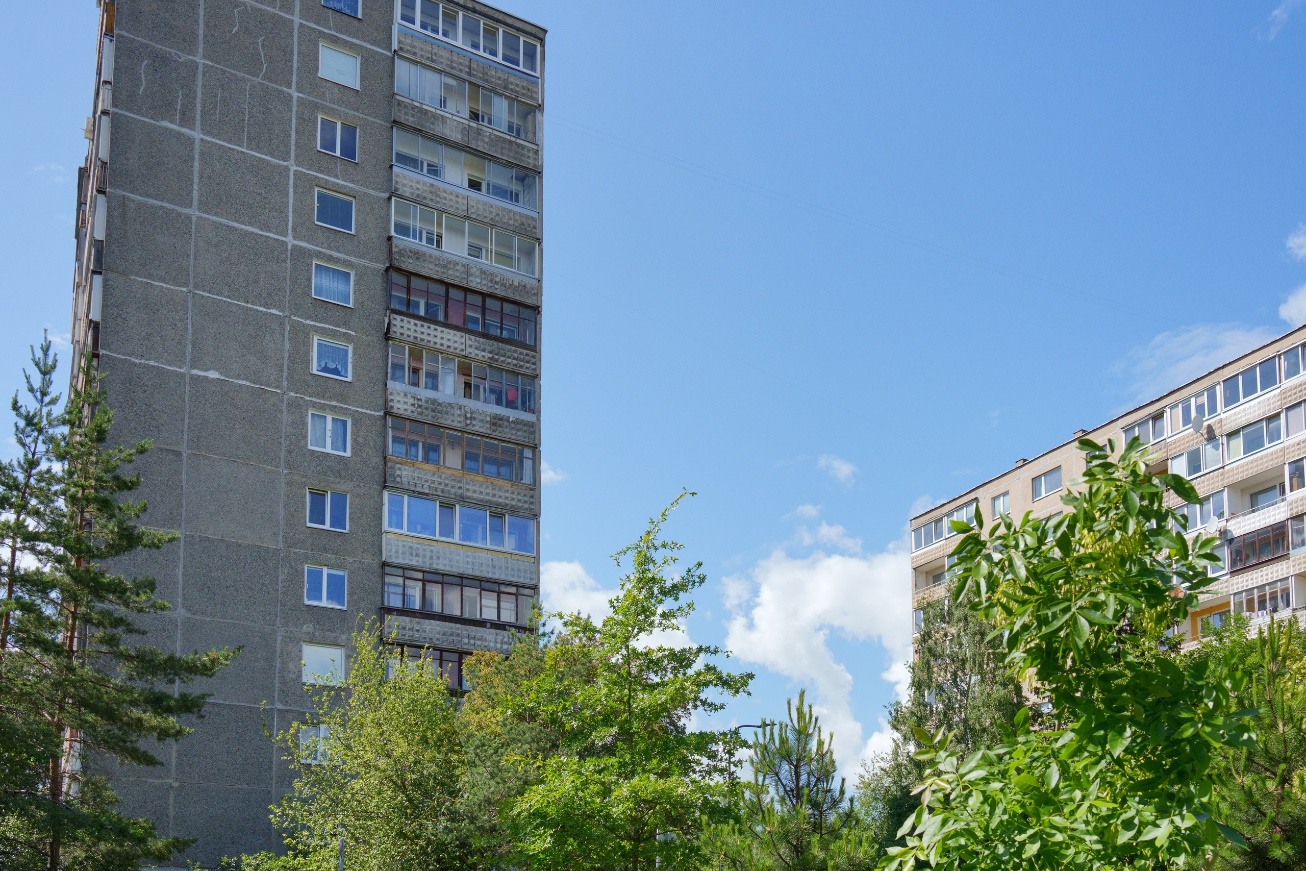 Viršuliškių g. 29. Elina Sapiega fotografė Vilniuje