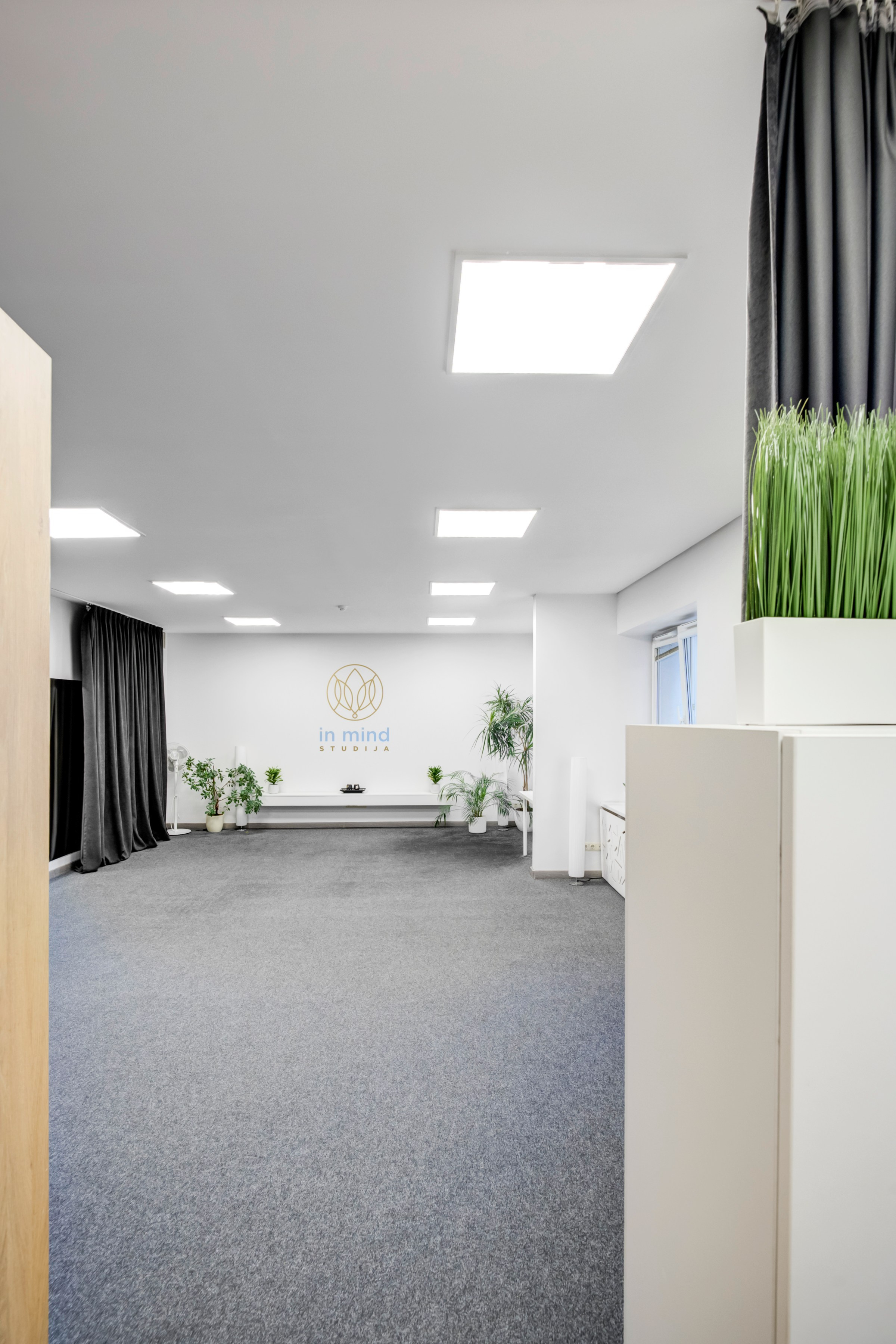 Saltoniškių g. 31. Elina Sapiega fotografė Vilniuje