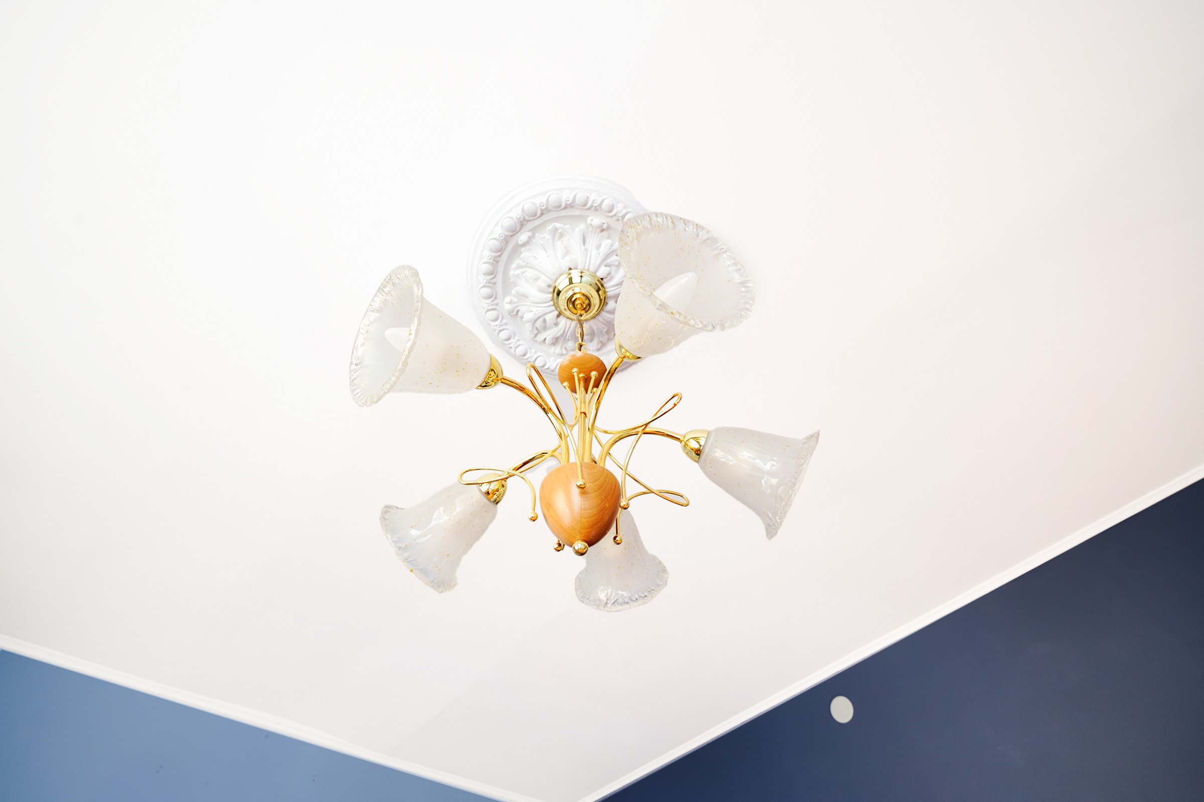 Rūdninkų 11. Elina Sapiega fotografė Vilniuje