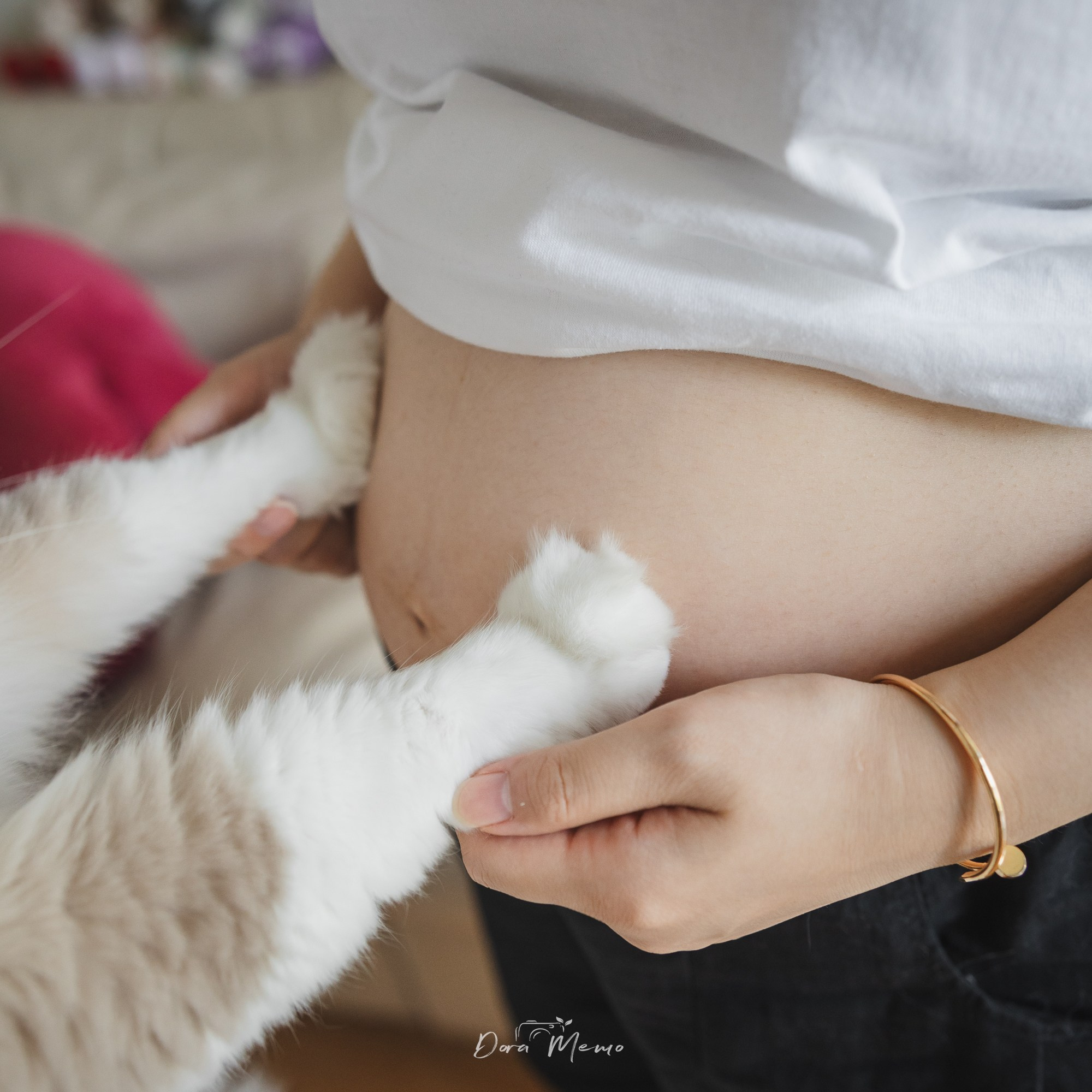 A cat’s paw gently touches a pregnant belly, showing the bond between pets and a growing family.