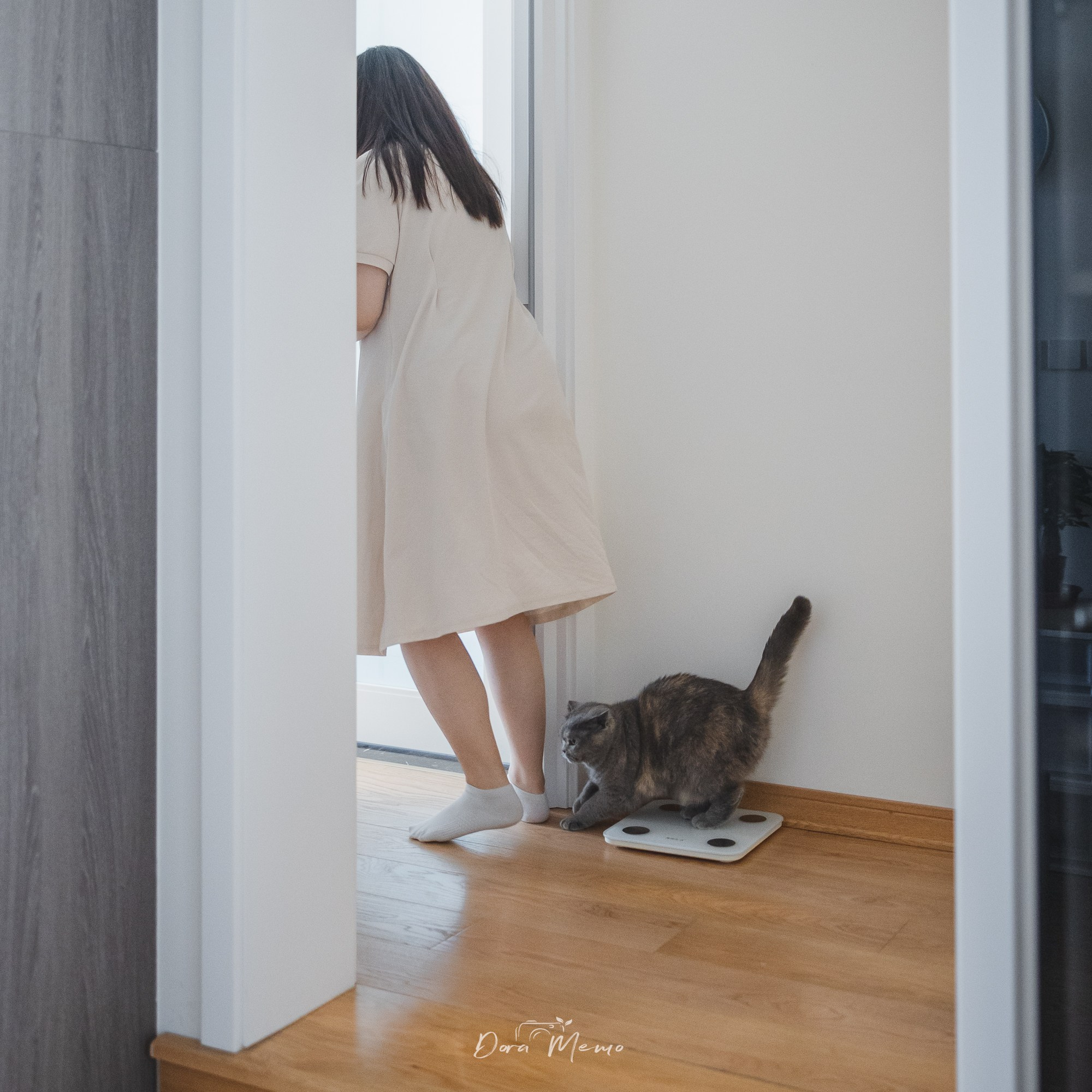 Shanghai Maternity Photographer — At-Home Pregnancy Photos with Cats