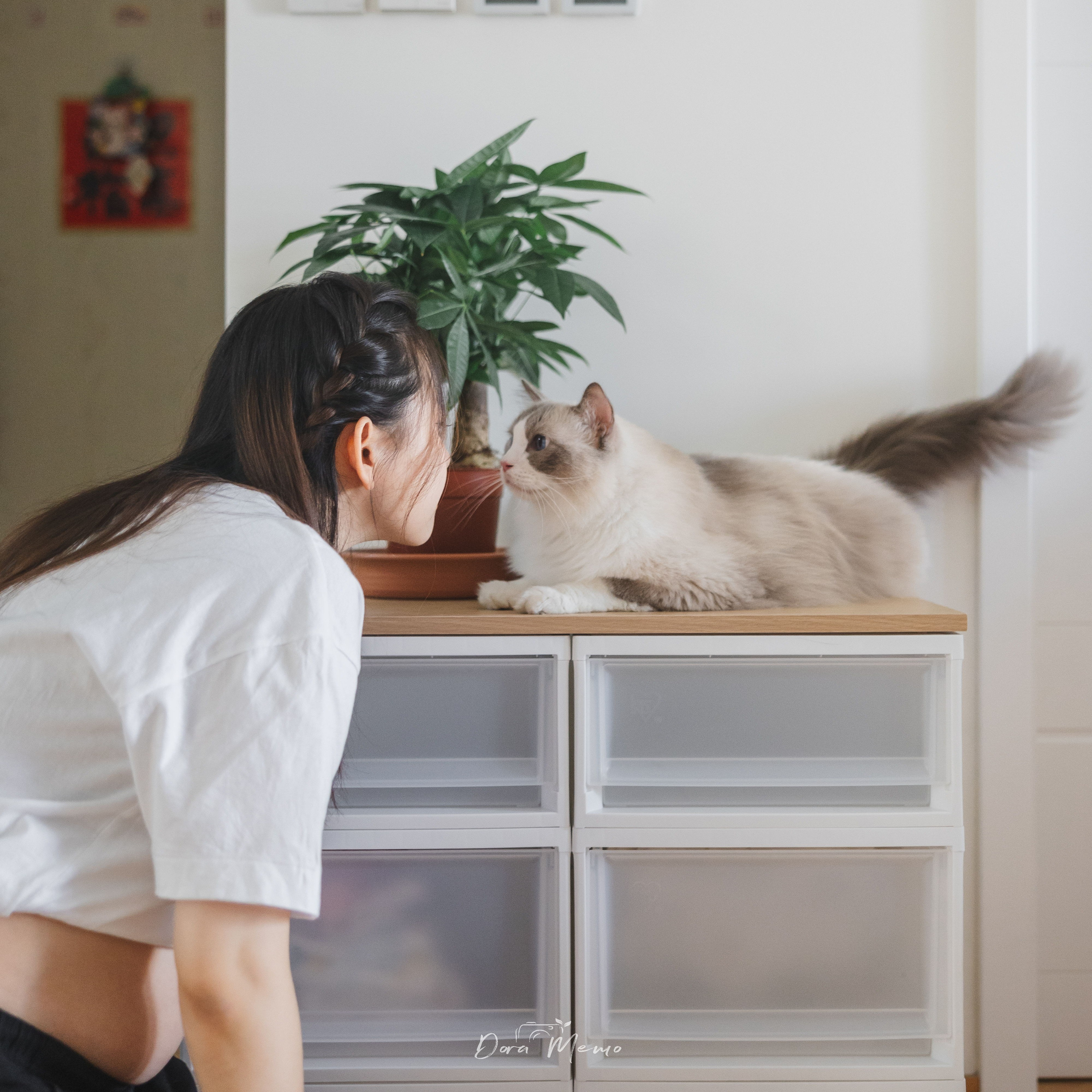 A pregnant mother gently leans toward her cat during a documentary pet family photography session.
