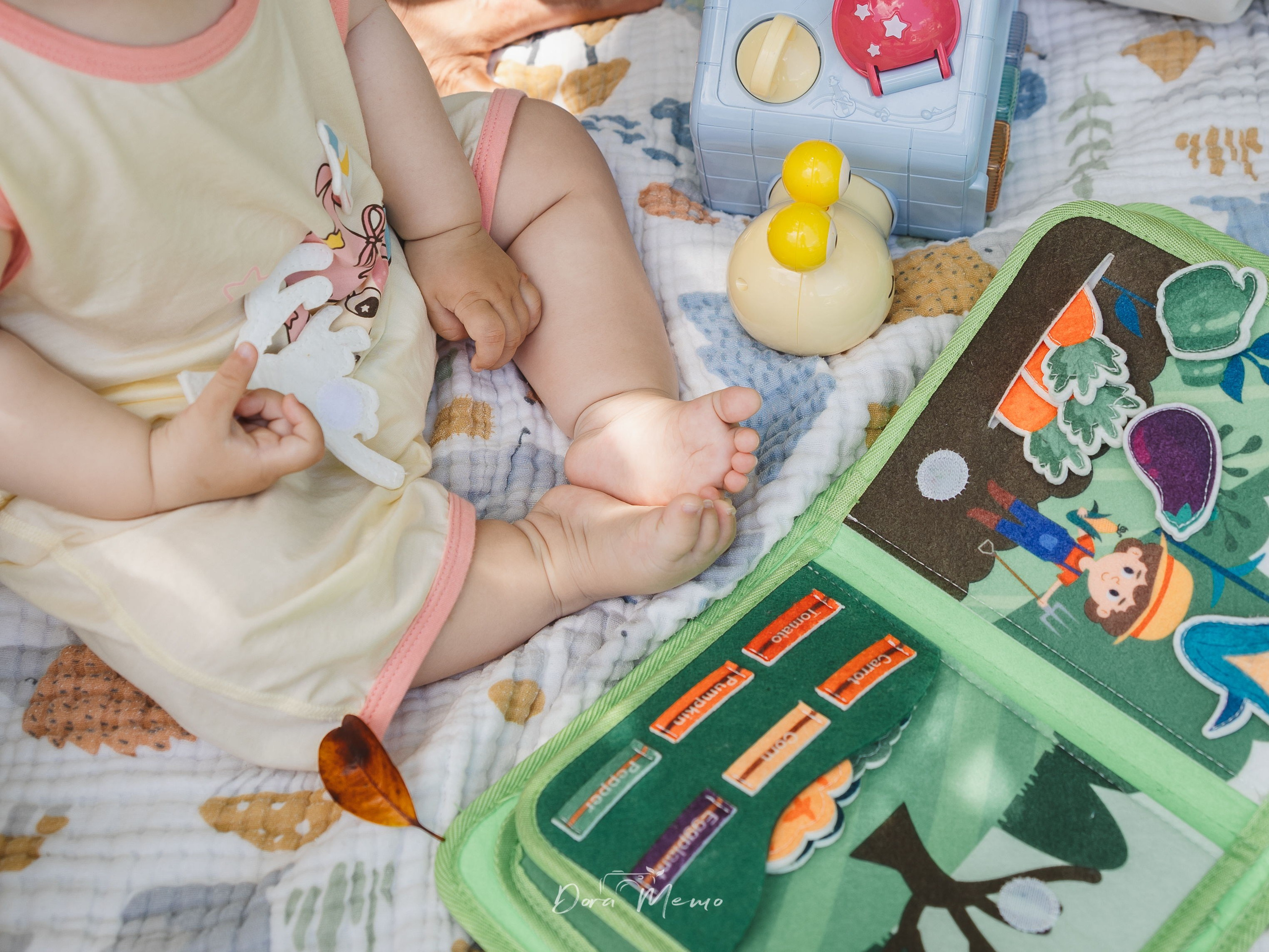 Close-up of a baby’s feet beside soft toys and a fabric activity book during an outdoor family session.