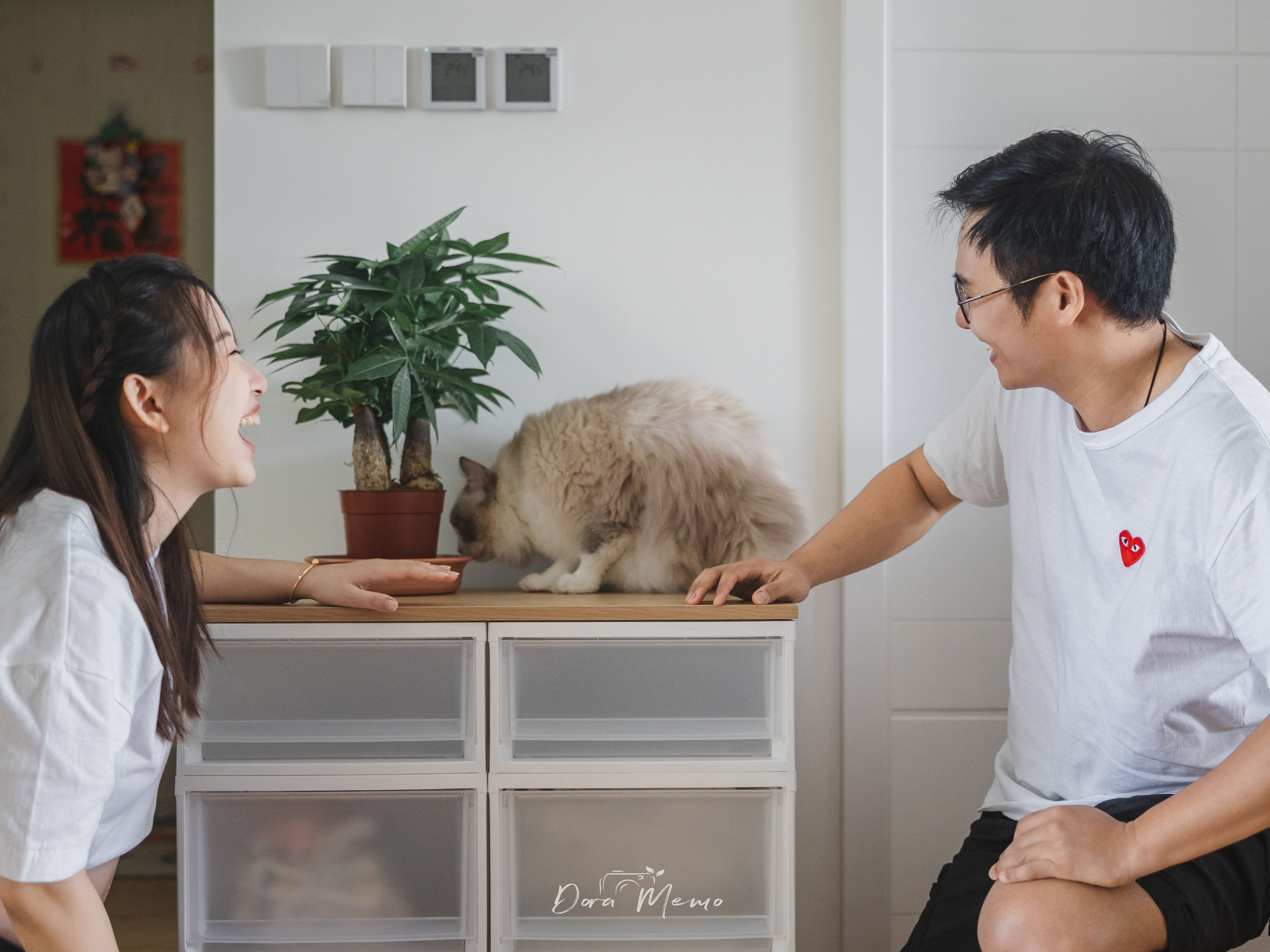 Shanghai Maternity Photographer — At-Home Pregnancy Photos with Cats