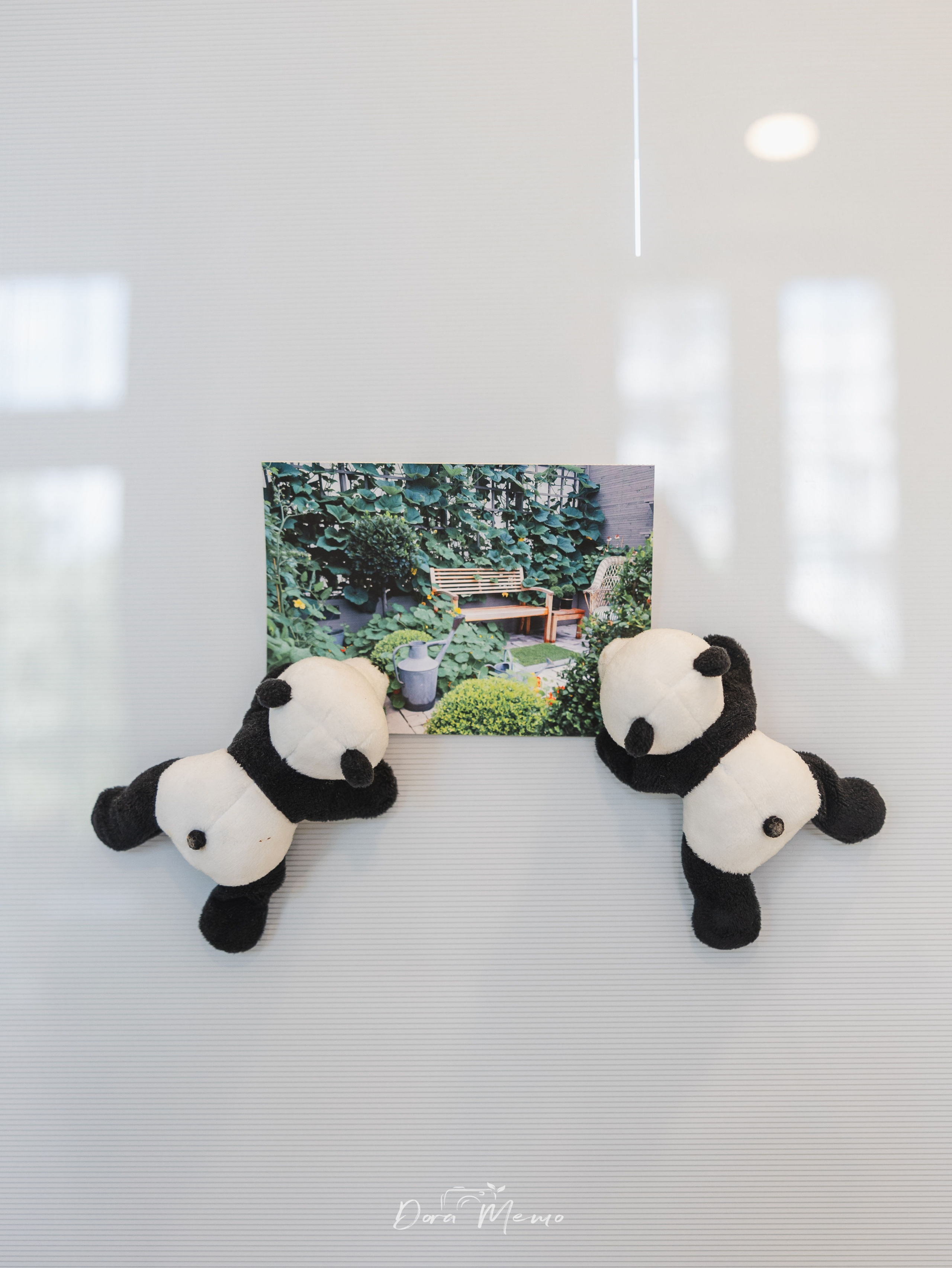 Shanghai Family Photography at Home | A Farewell Family Session