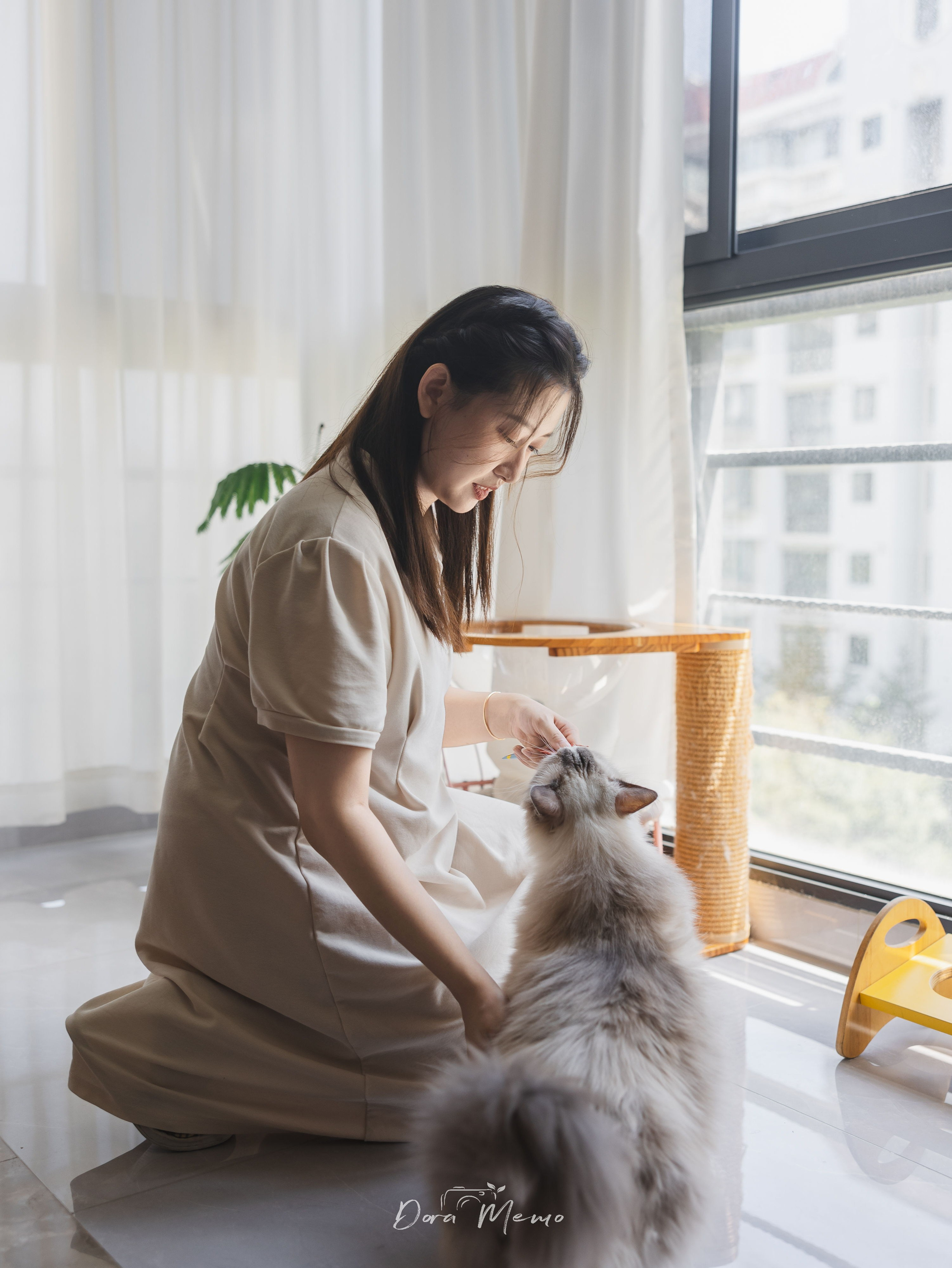 Shanghai Maternity Photographer — At-Home Pregnancy Photos with Cats