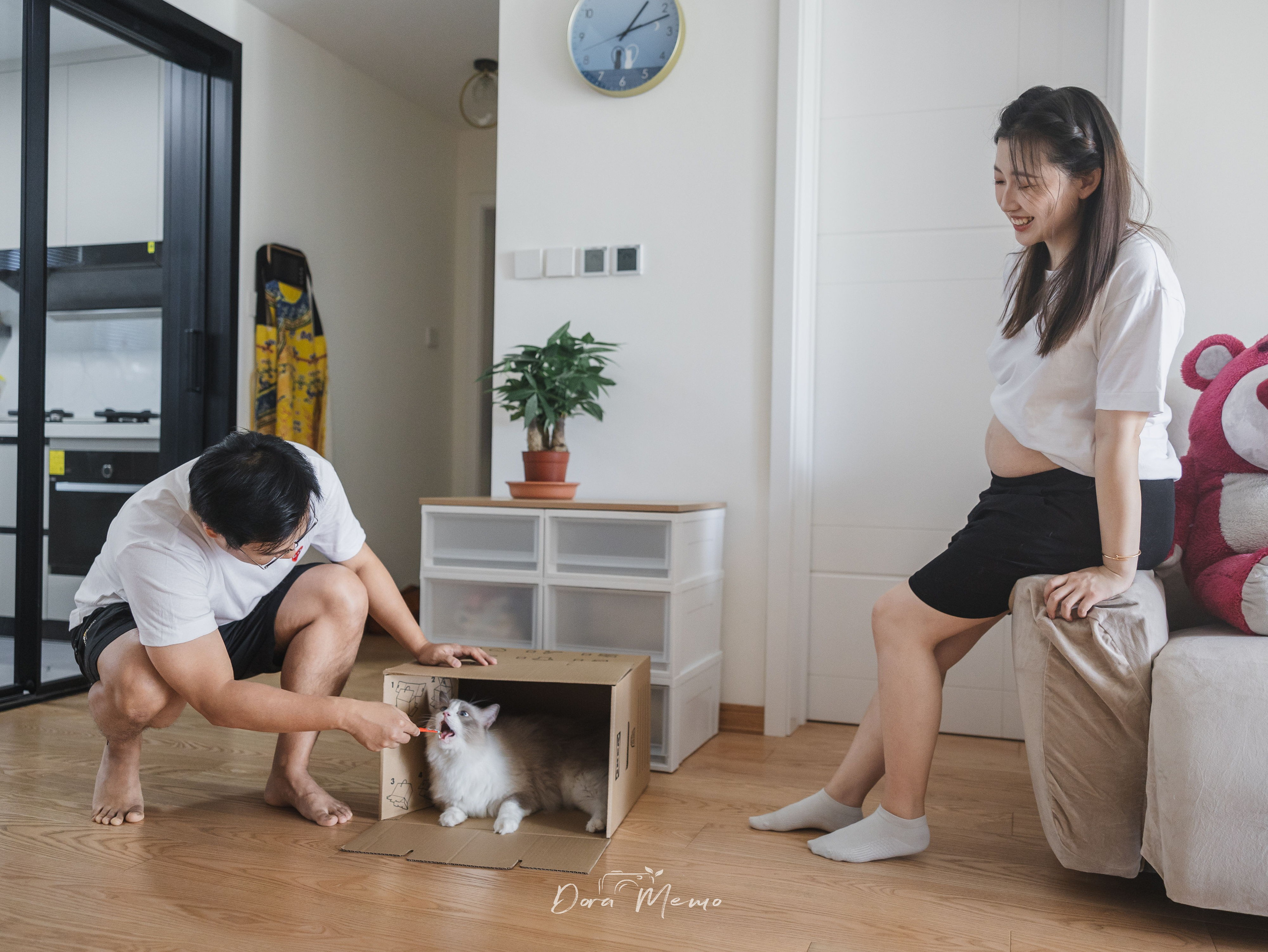 Shanghai Maternity Photographer — At-Home Pregnancy Photos with Cats