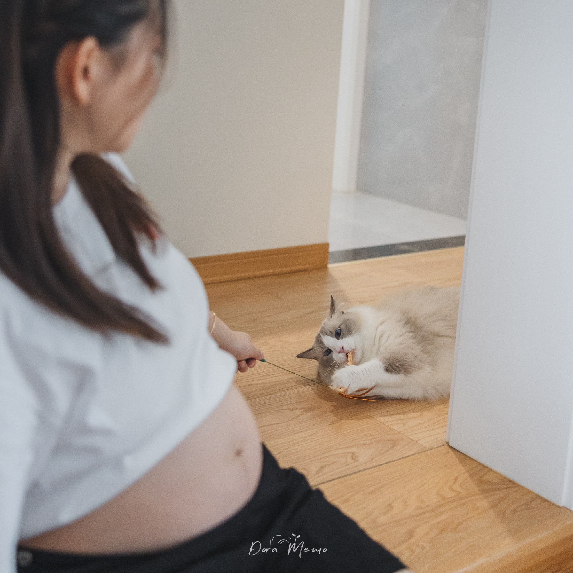Shanghai Maternity Photographer — At-Home Pregnancy Photos with Cats