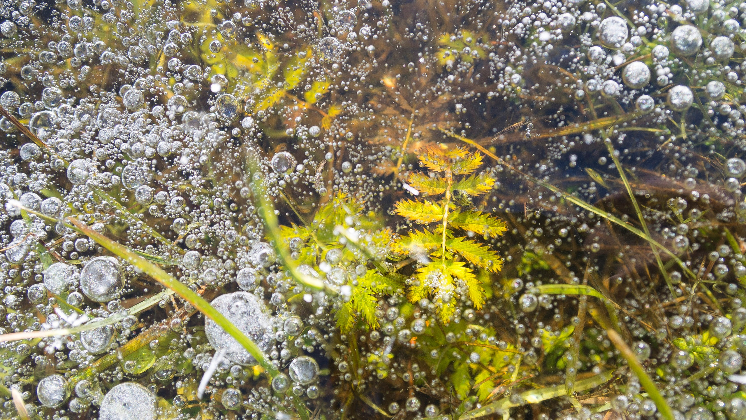 Nature. Ritvars Pujats Emotion Photographer