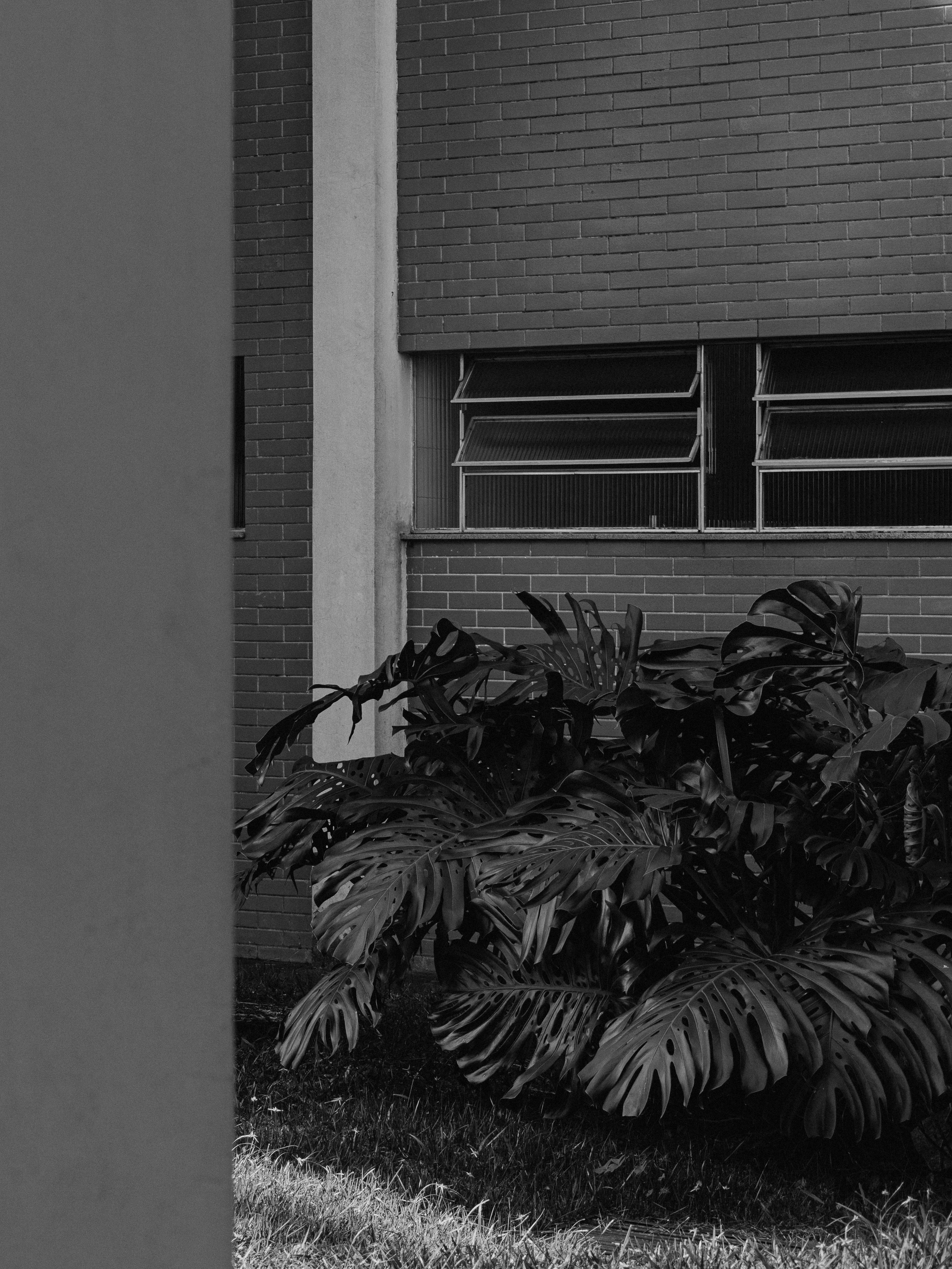 Fotografia Urbana | Juiz de Fora. Caio Almeida
