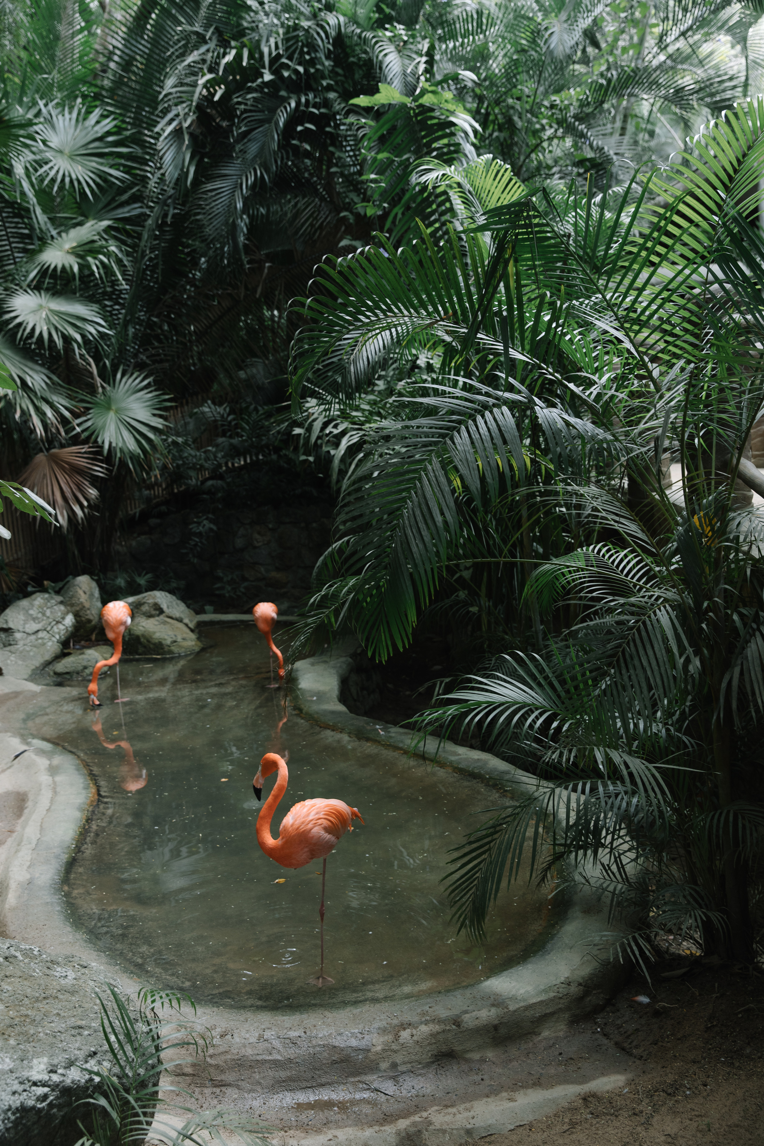 Las Caletas. Wedding photographer Mexico Sayulita Puerto Vallarta Punta Mita Cabo