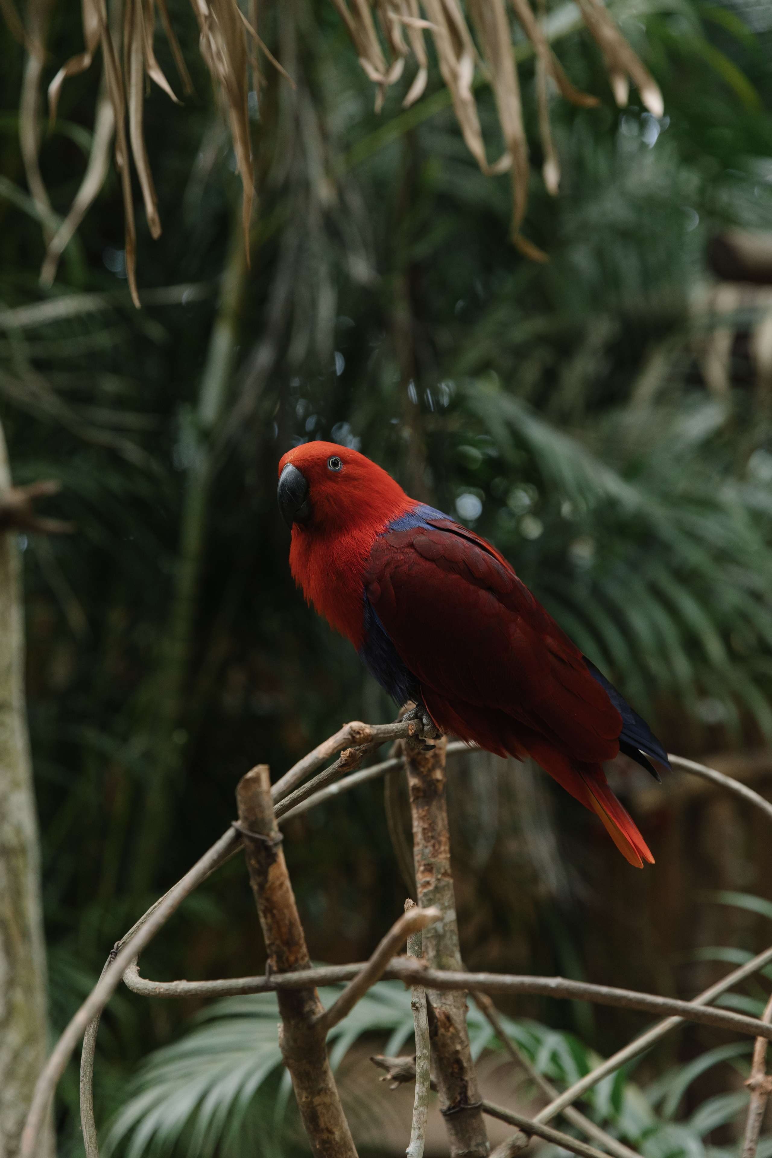 Las Caletas. Wedding photographer Mexico Sayulita Puerto Vallarta Punta Mita Cabo