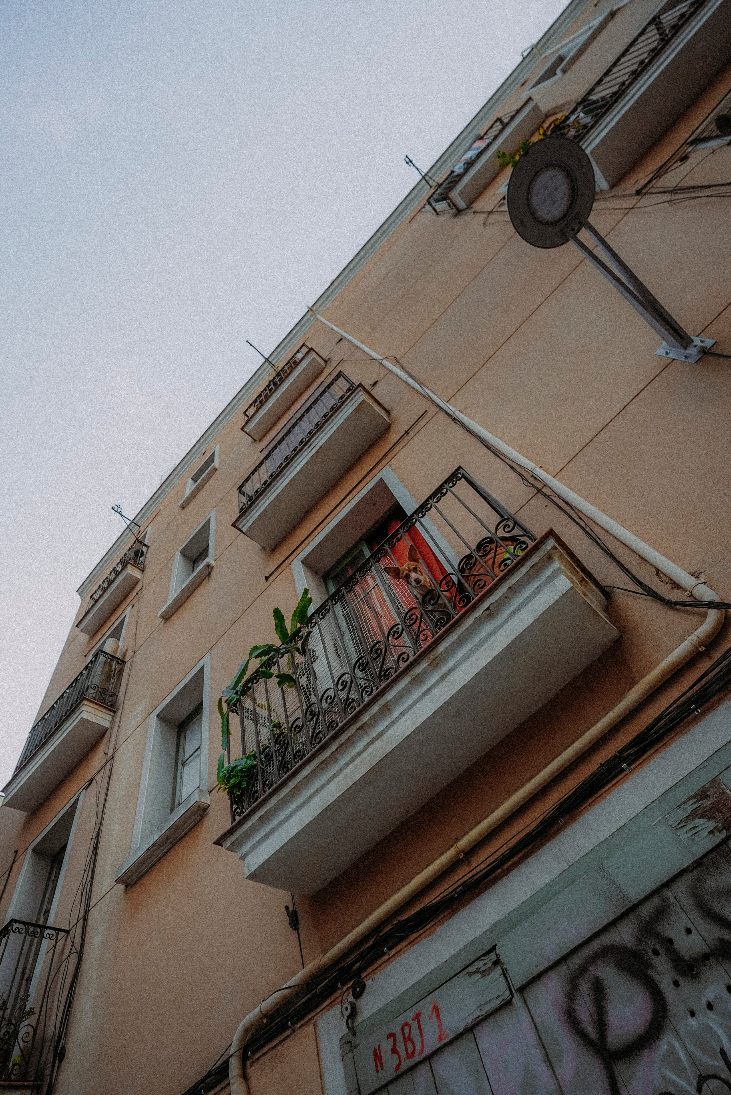 ЕВРОТУР. Стрит-фотография, полная абсурда, идиотизма и красоты